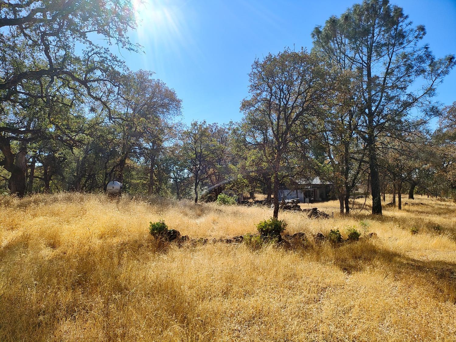 Marie Lane, Rackerby, California image 1