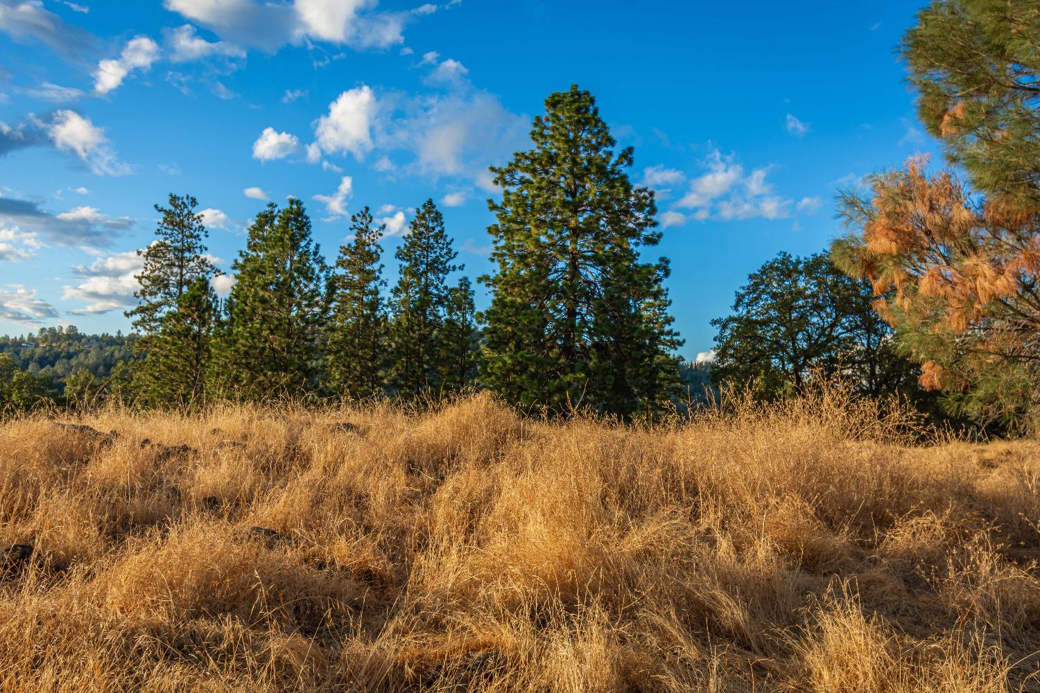 Detail Gallery Image 66 of 98 For 19635 Peyton Pl, Grass Valley,  CA 95949 - – Beds | – Baths