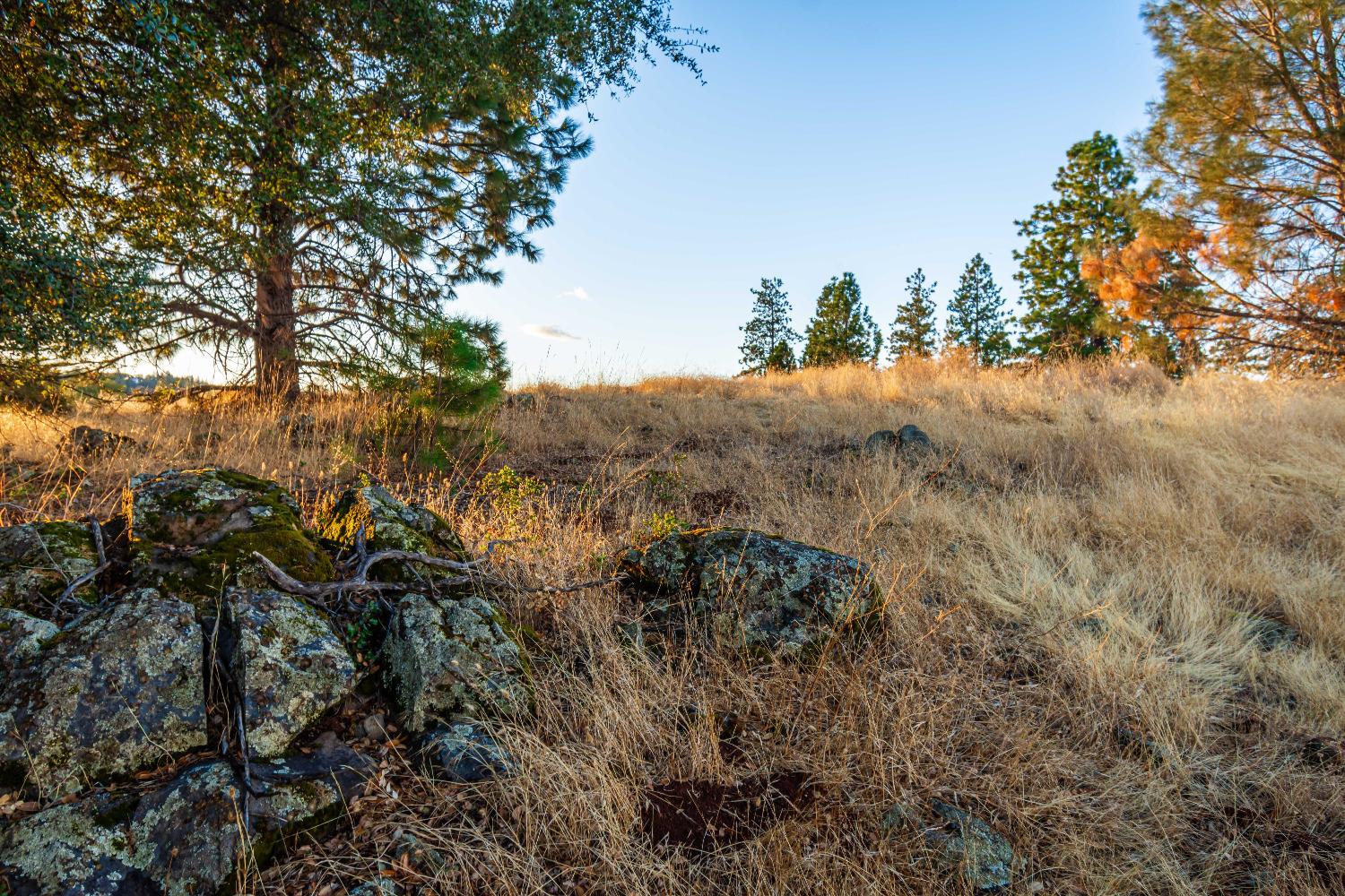 Detail Gallery Image 88 of 98 For 19635 Peyton Pl, Grass Valley,  CA 95949 - – Beds | – Baths