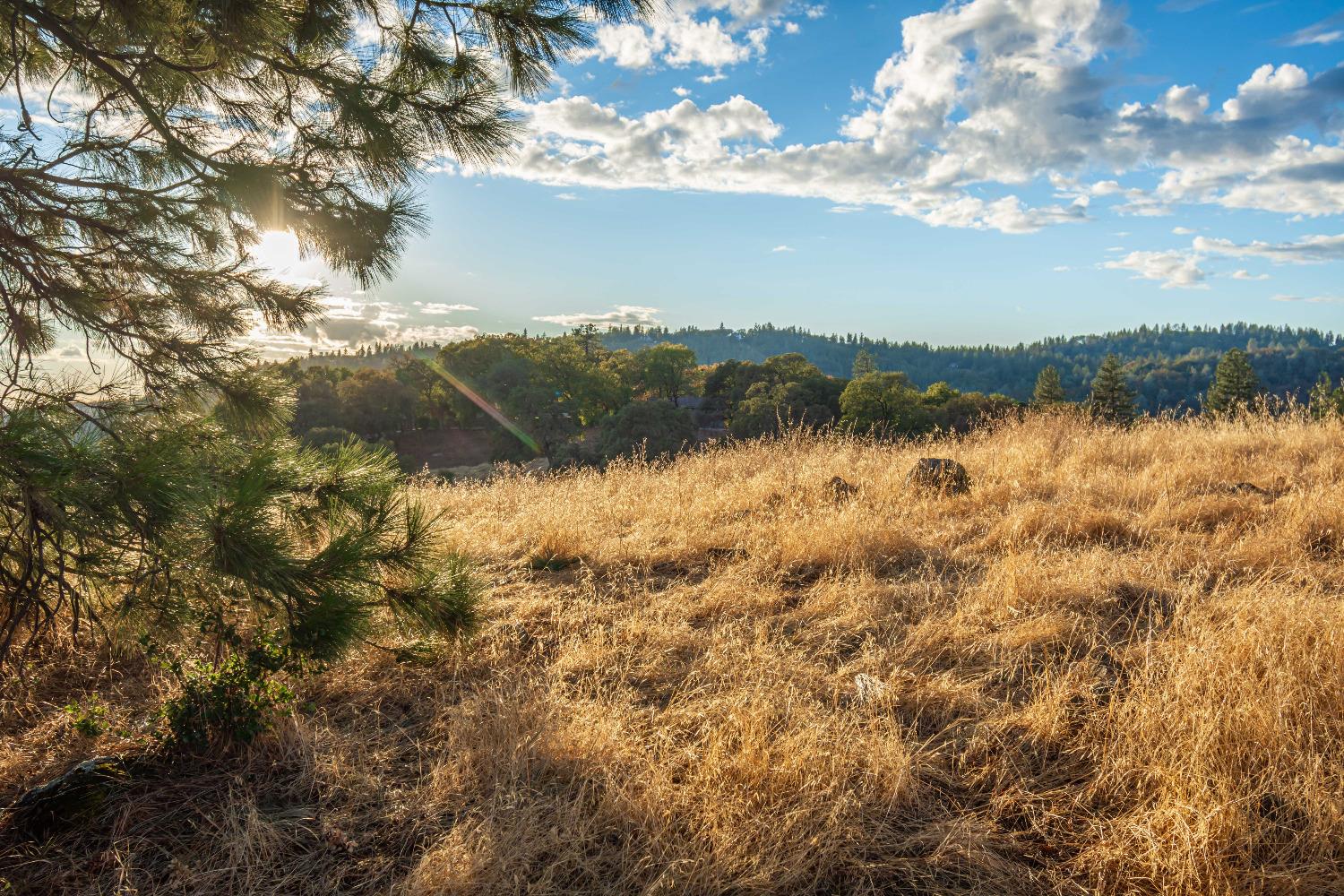 Detail Gallery Image 65 of 98 For 19635 Peyton Pl, Grass Valley,  CA 95949 - – Beds | – Baths