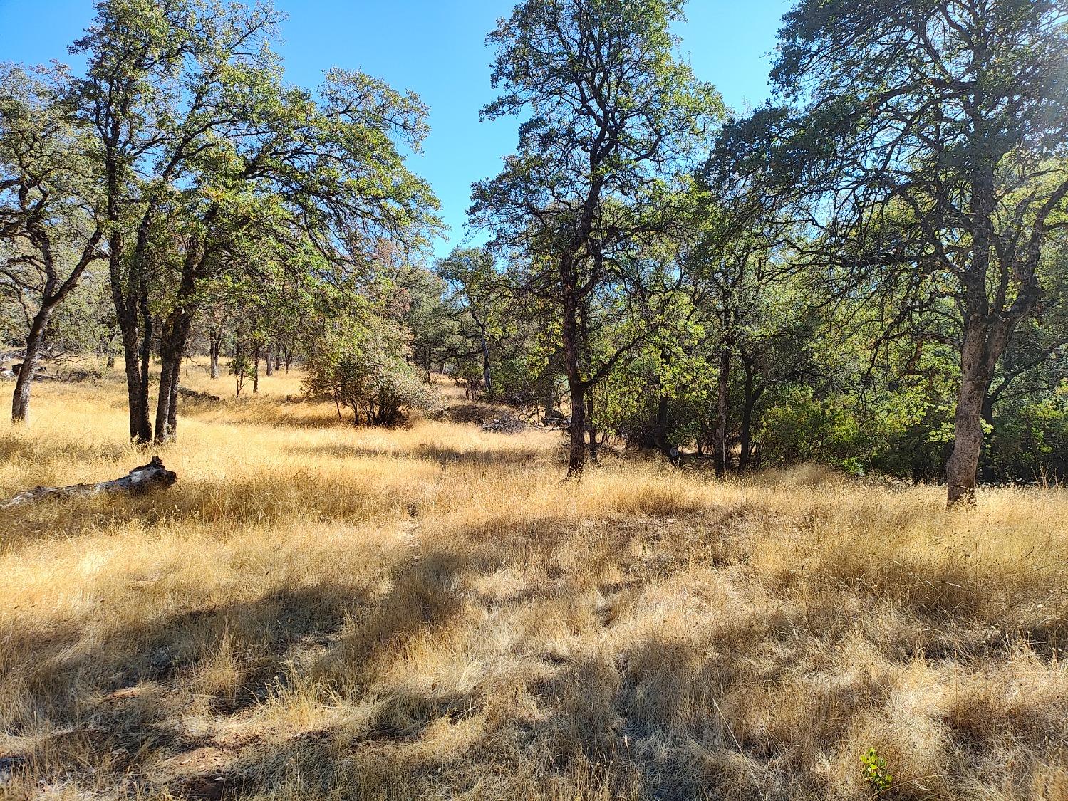 Marie Lane, Rackerby, California image 15