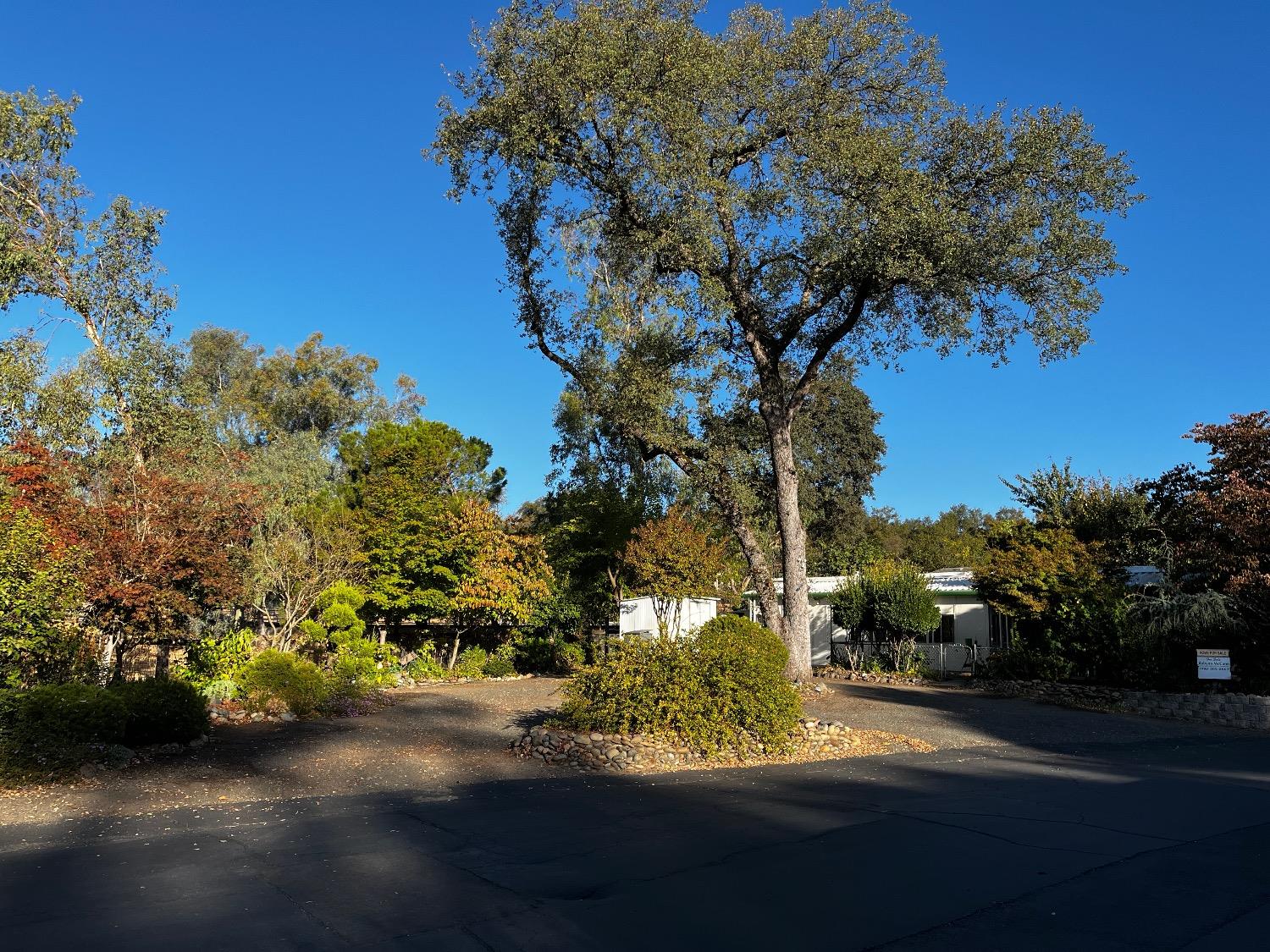 Detail Gallery Image 8 of 56 For 4800 Auburn Folsom Rd 52, Loomis,  CA 95650 - 2 Beds | 1 Baths