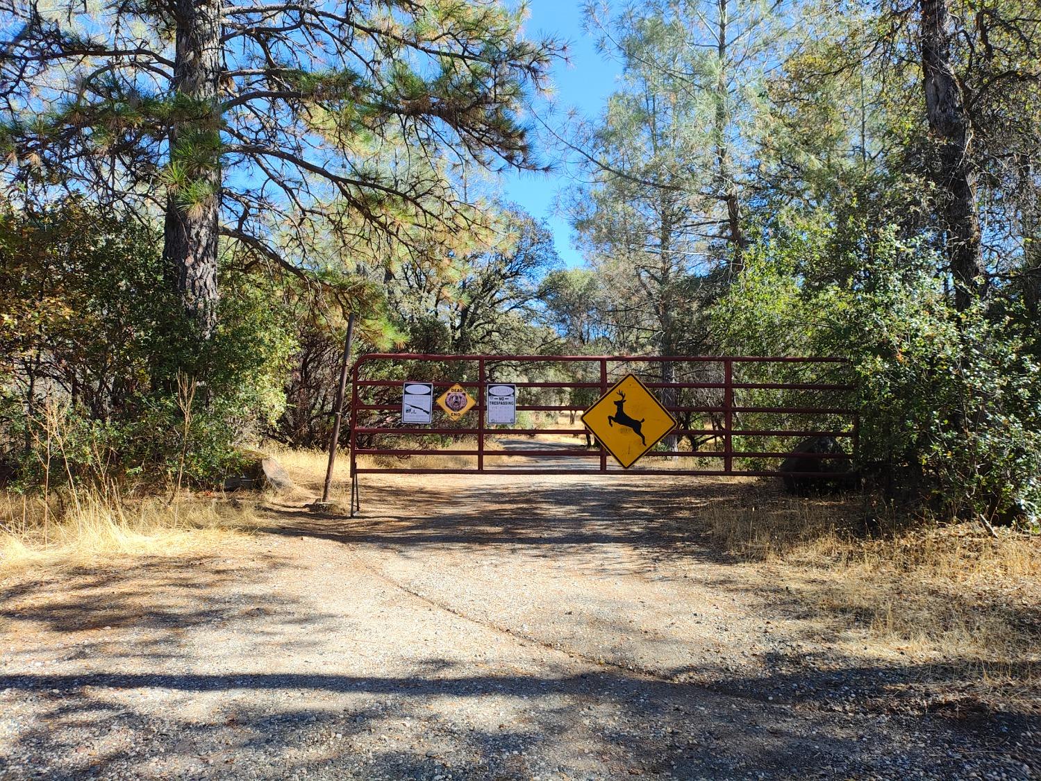 Marie Lane, Rackerby, California image 28