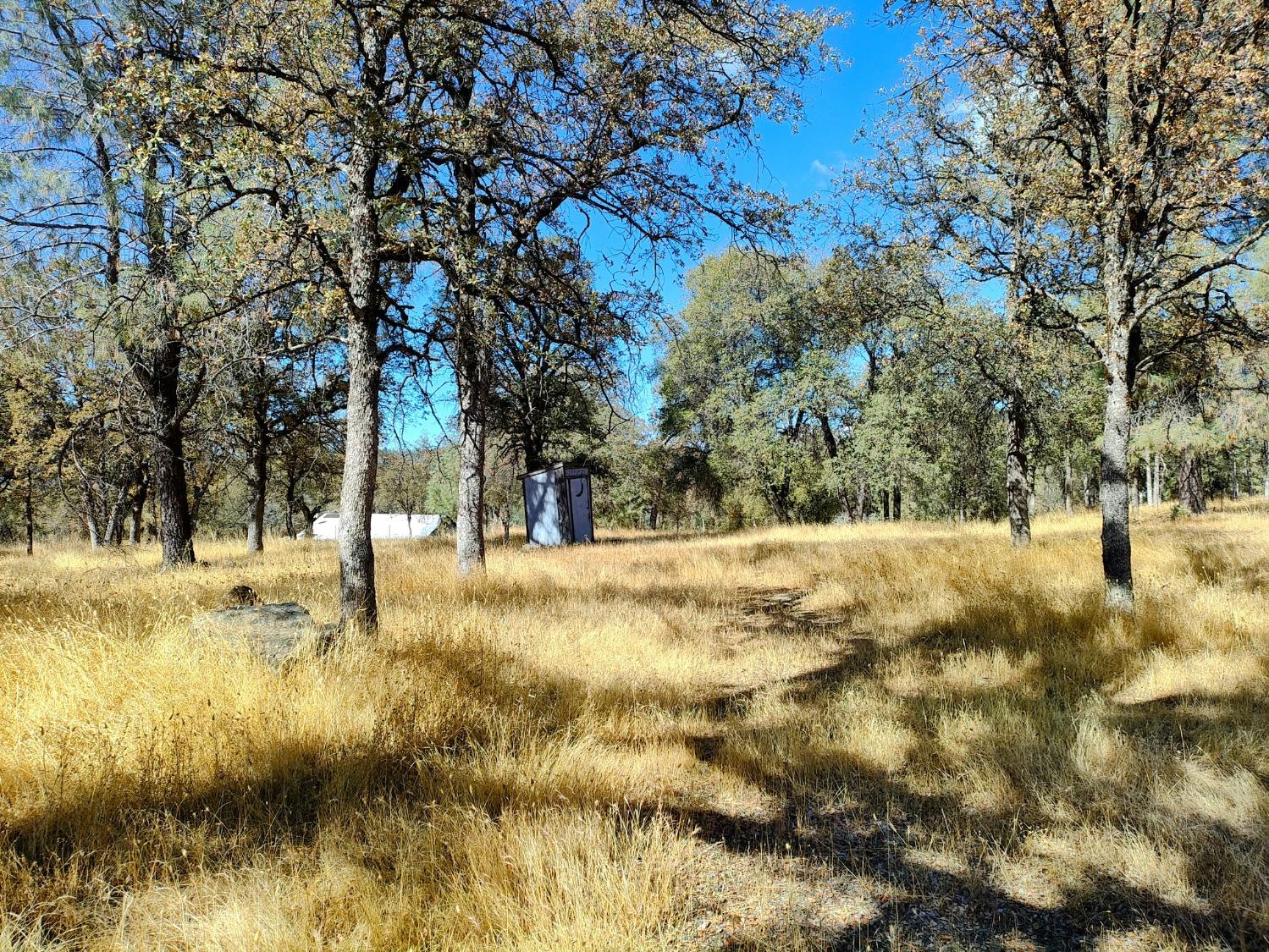 Marie Lane, Rackerby, California image 31