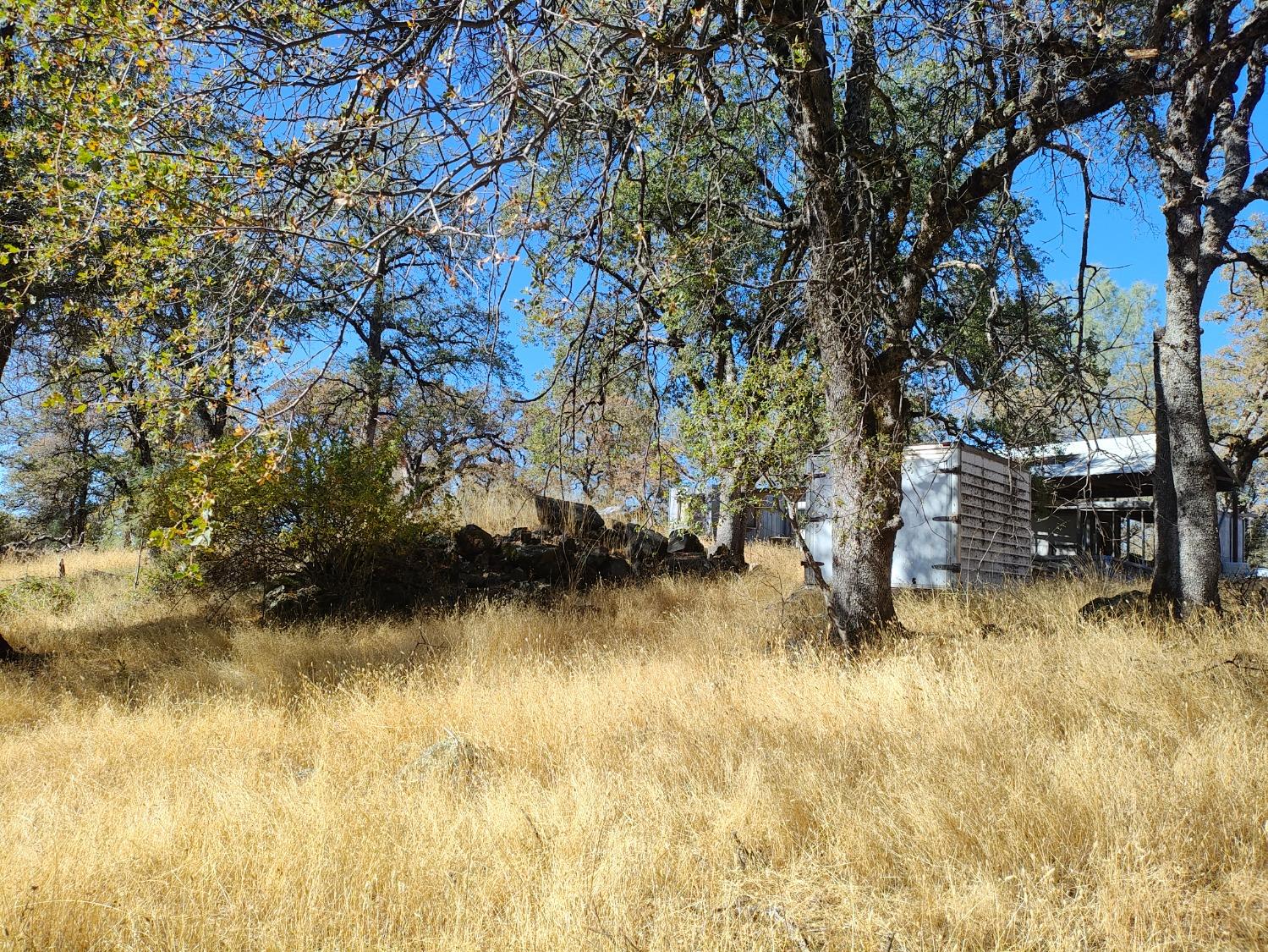 Marie Lane, Rackerby, California image 19