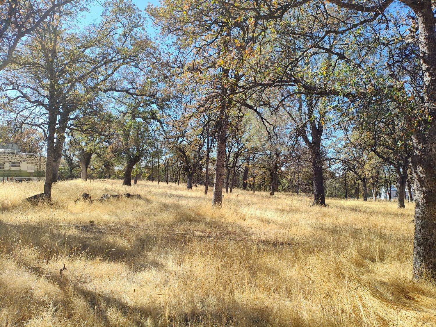 Marie Lane, Rackerby, California image 9