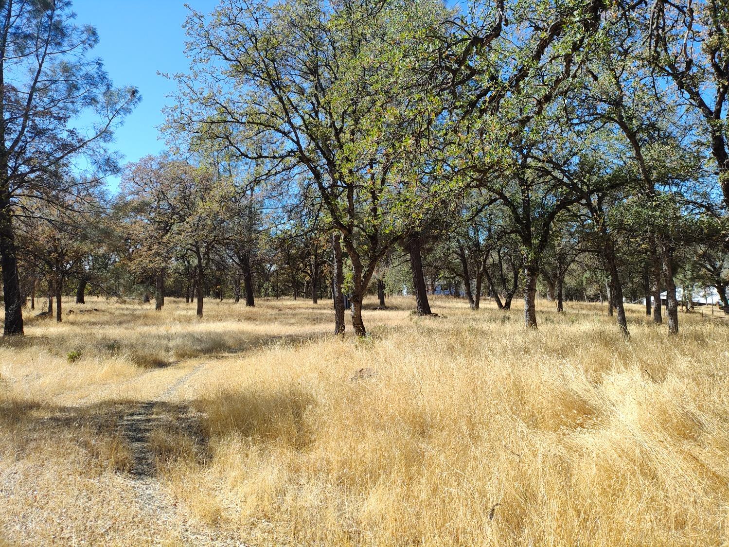 Marie Lane, Rackerby, California image 7