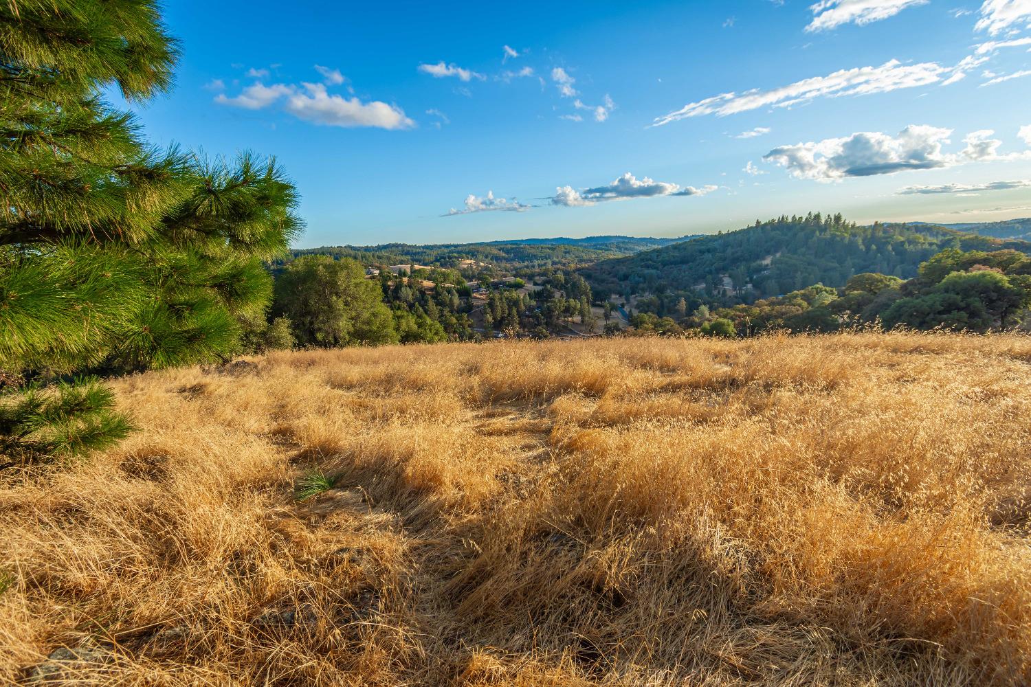 Detail Gallery Image 68 of 98 For 19635 Peyton Pl, Grass Valley,  CA 95949 - – Beds | – Baths