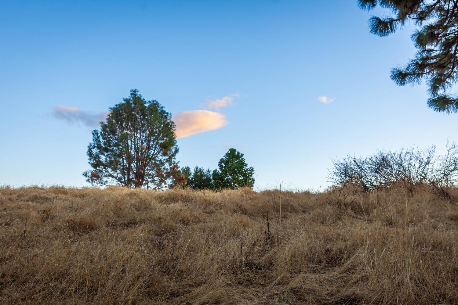 Detail Gallery Image 93 of 98 For 19635 Peyton Pl, Grass Valley,  CA 95949 - – Beds | – Baths