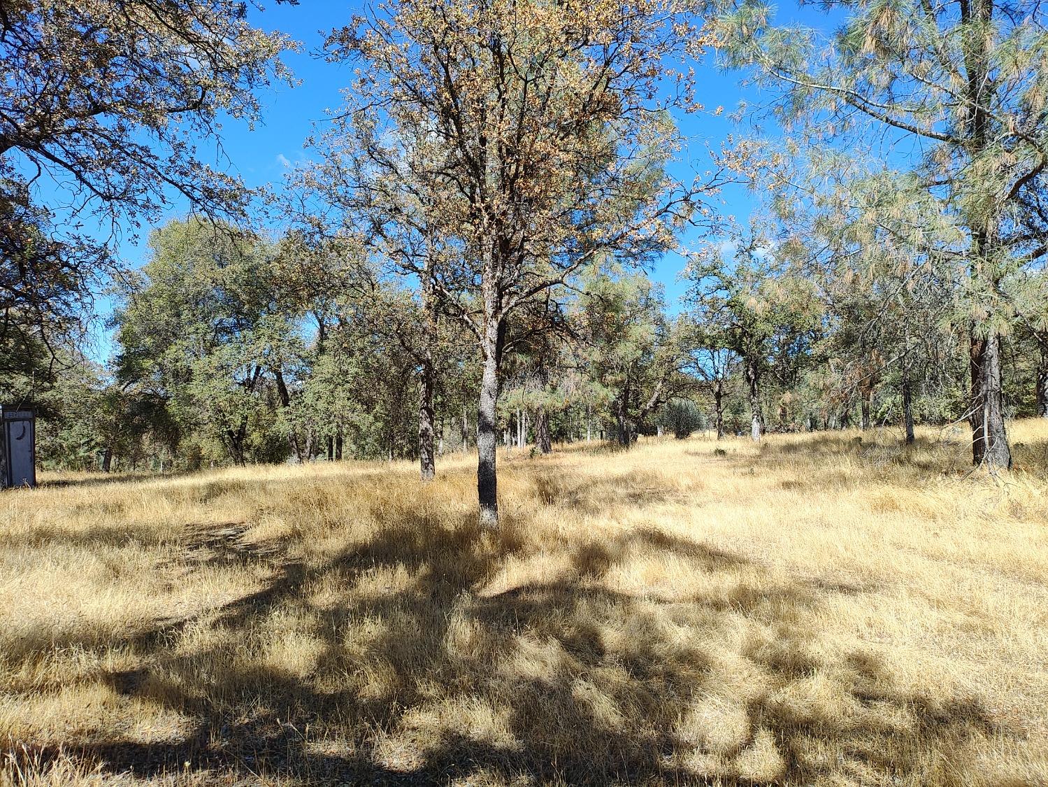 Marie Lane, Rackerby, California image 30