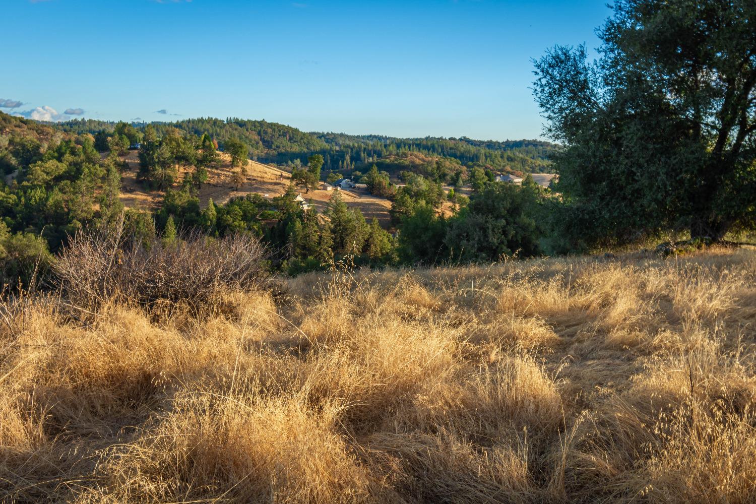 Detail Gallery Image 59 of 98 For 19635 Peyton Pl, Grass Valley,  CA 95949 - – Beds | – Baths