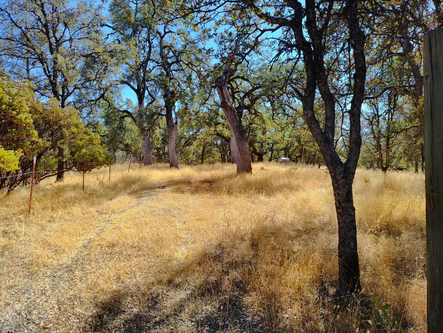 Marie Lane, Rackerby, California image 6