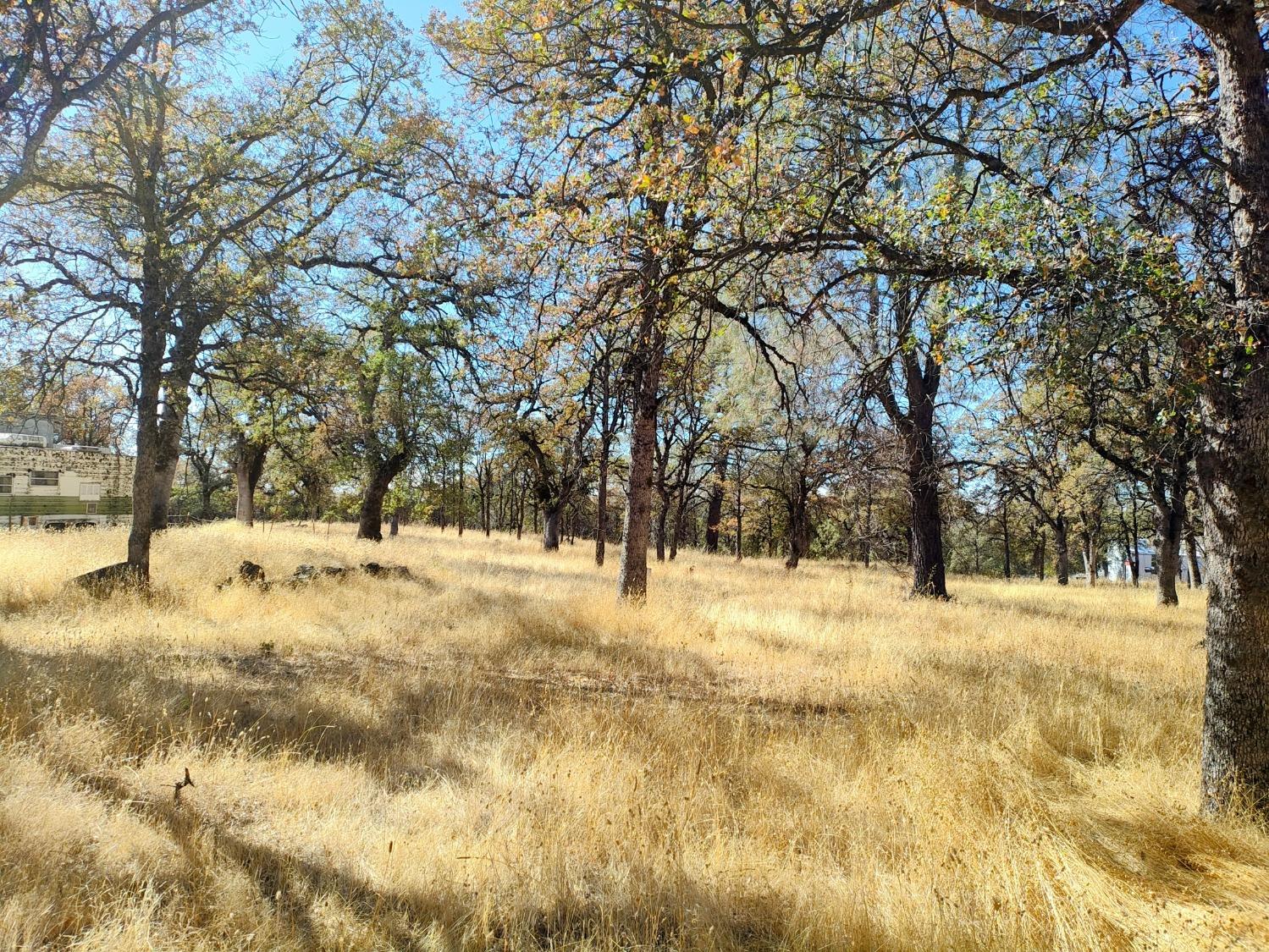 Marie Lane, Rackerby, California image 10