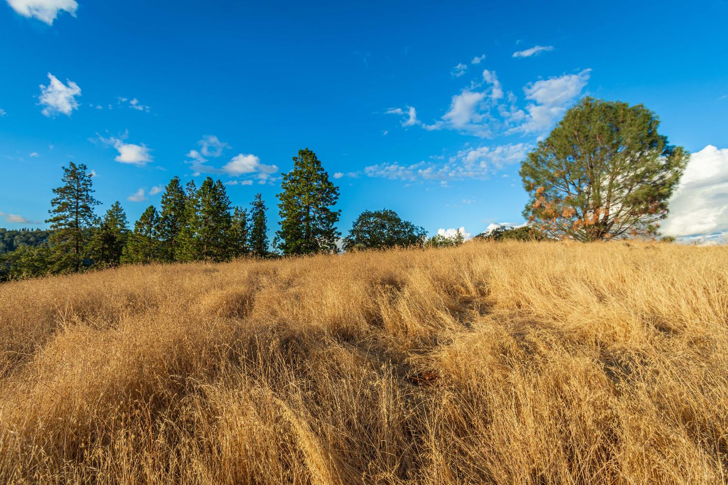 Detail Gallery Image 73 of 98 For 19635 Peyton Pl, Grass Valley,  CA 95949 - – Beds | – Baths