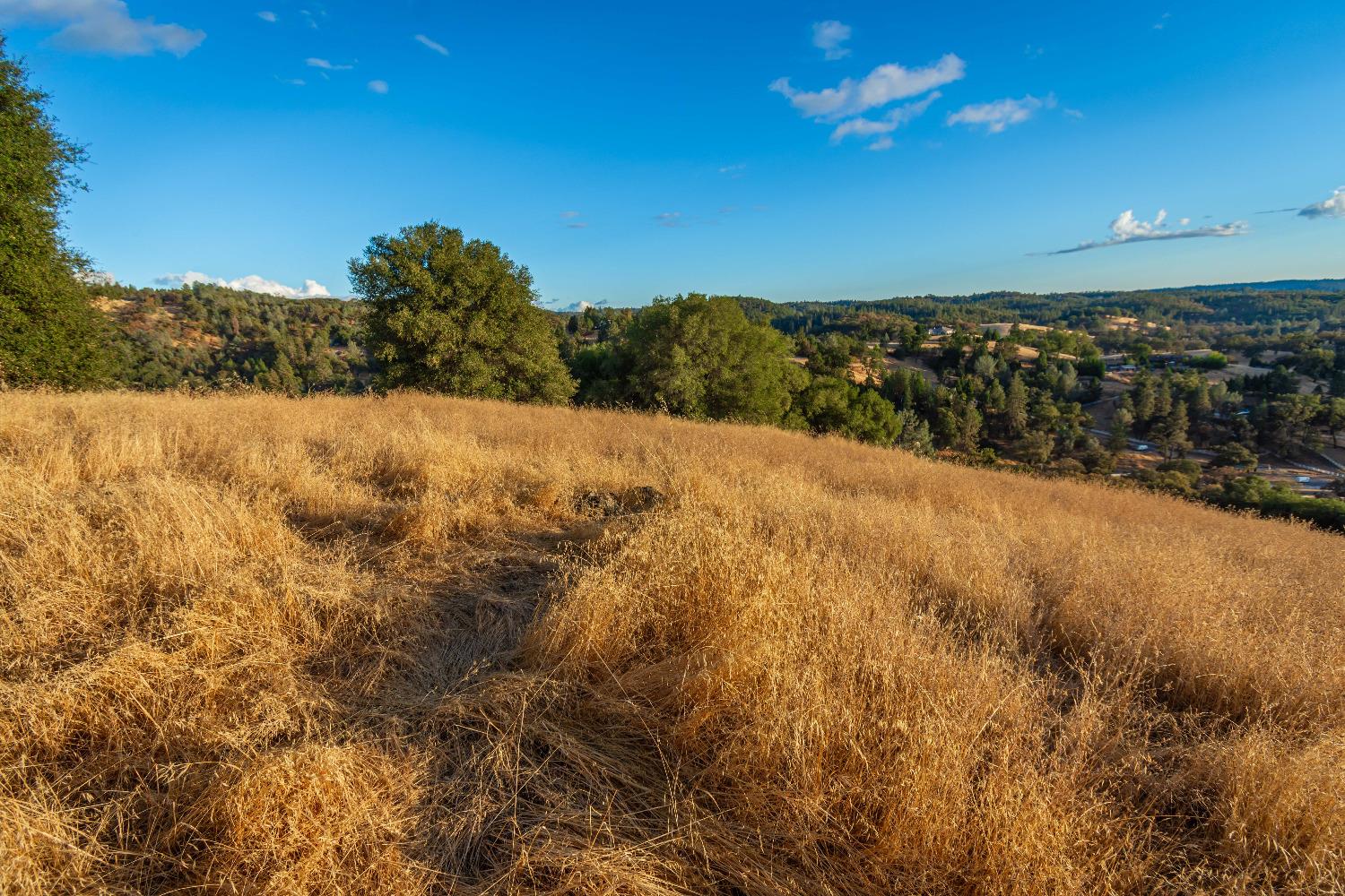 Detail Gallery Image 76 of 98 For 19635 Peyton Pl, Grass Valley,  CA 95949 - – Beds | – Baths