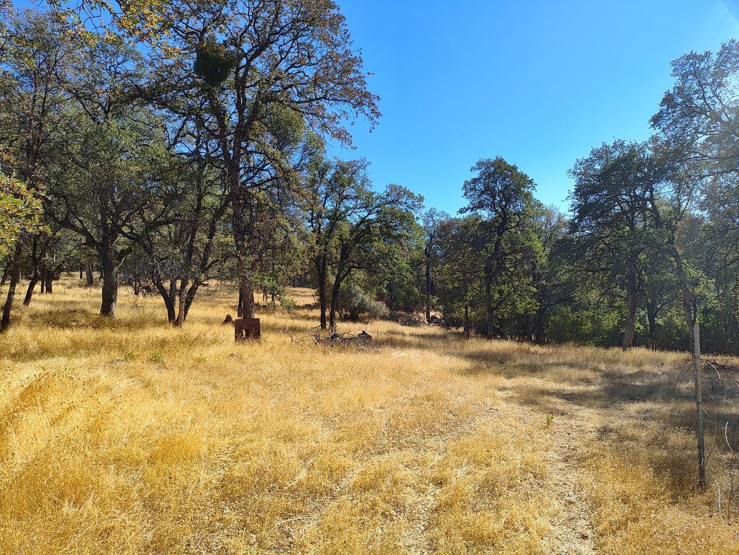 Marie Lane, Rackerby, California image 12