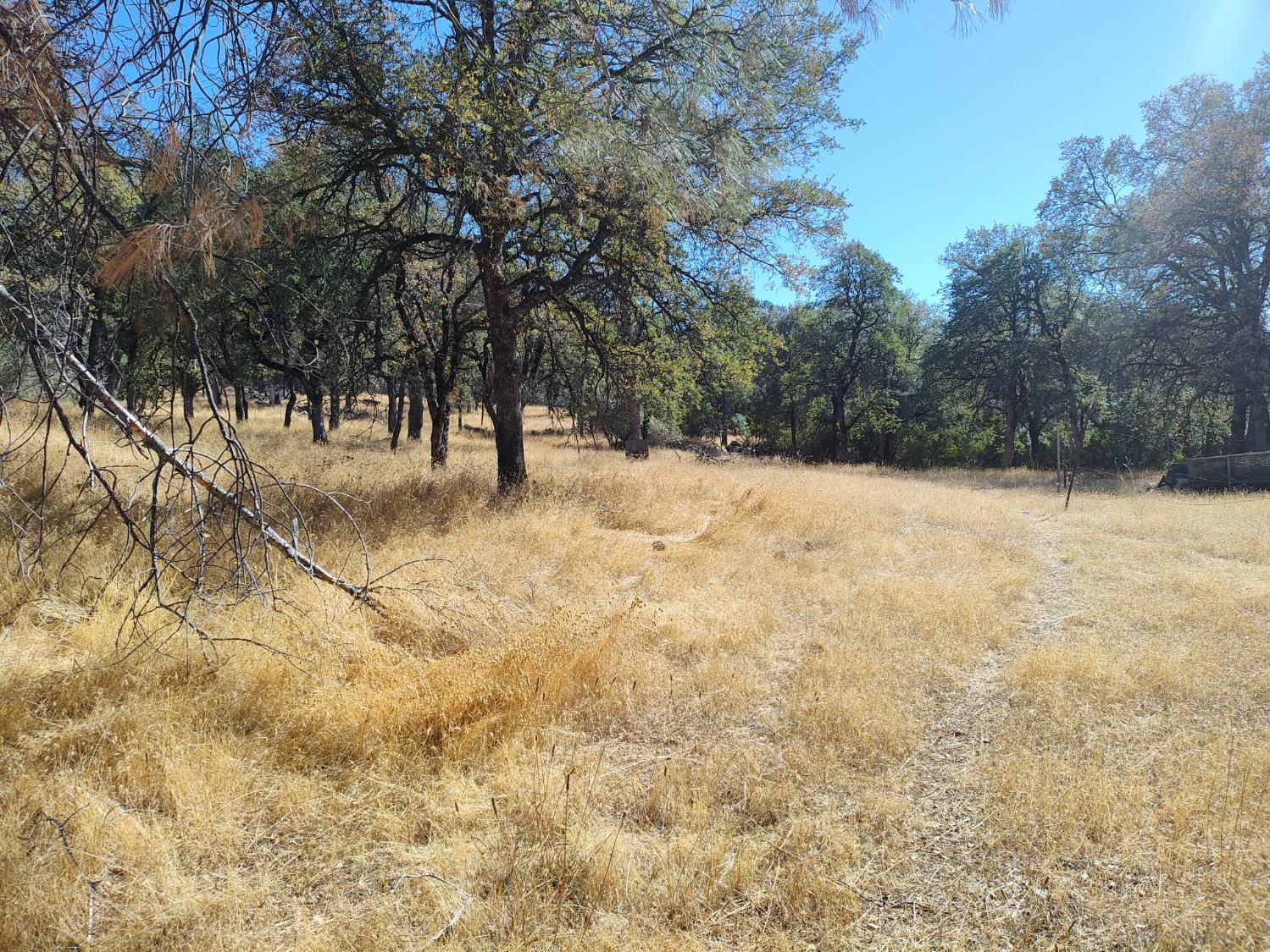 Marie Lane, Rackerby, California image 11