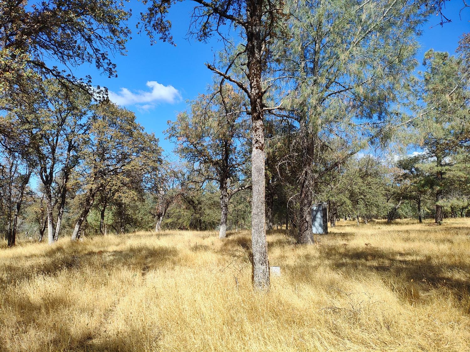 Marie Lane, Rackerby, California image 25