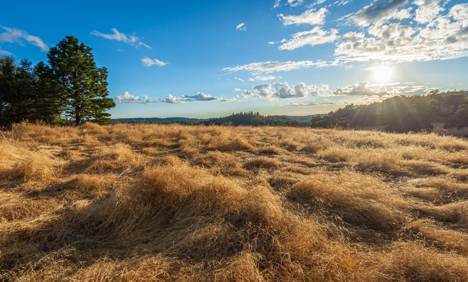 Detail Gallery Image 52 of 98 For 19635 Peyton Pl, Grass Valley,  CA 95949 - – Beds | – Baths