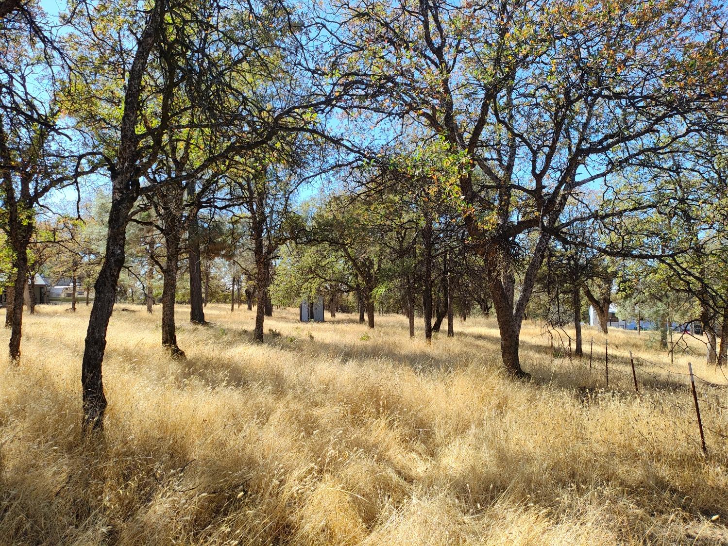 Marie Lane, Rackerby, California image 33