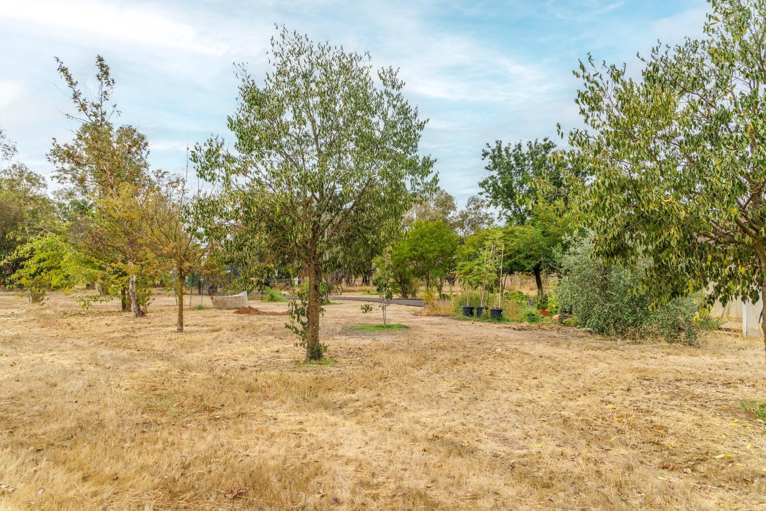 Detail Gallery Image 48 of 51 For 12089 Walmort Rd, Wilton,  CA 95693 - 4 Beds | 2 Baths