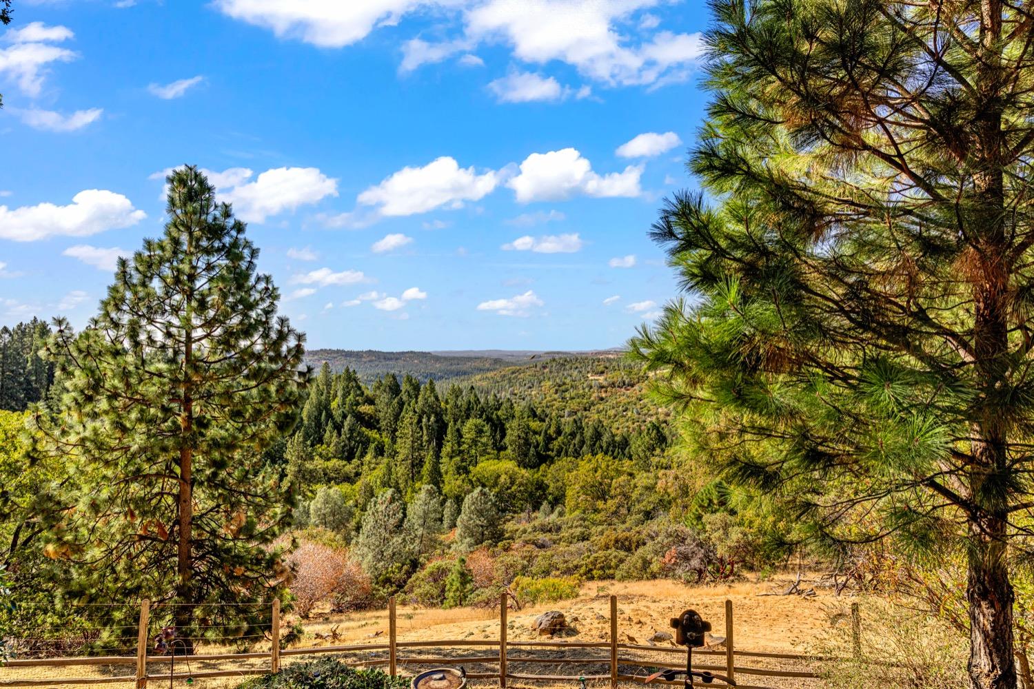 Detail Gallery Image 19 of 67 For 4686 Pinta Ct, Camino,  CA 95709 - 3 Beds | 3/2 Baths