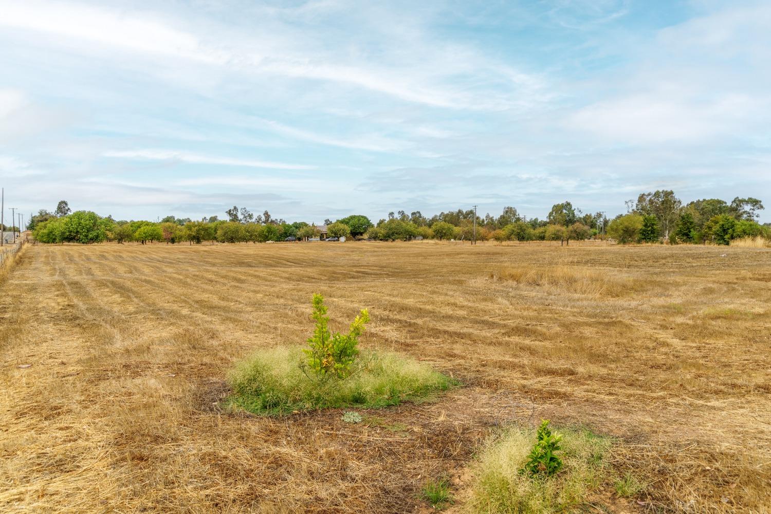 Detail Gallery Image 29 of 51 For 12089 Walmort Rd, Wilton,  CA 95693 - 4 Beds | 2 Baths