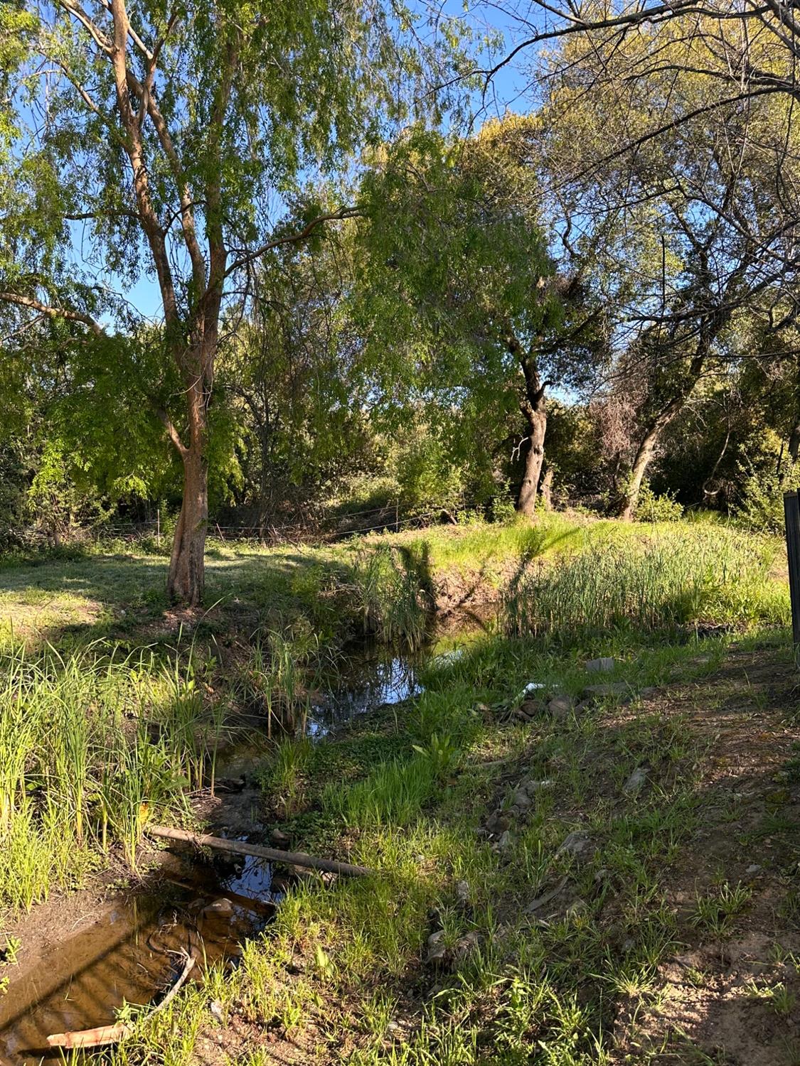 Marysville Road, Browns Valley, California image 19