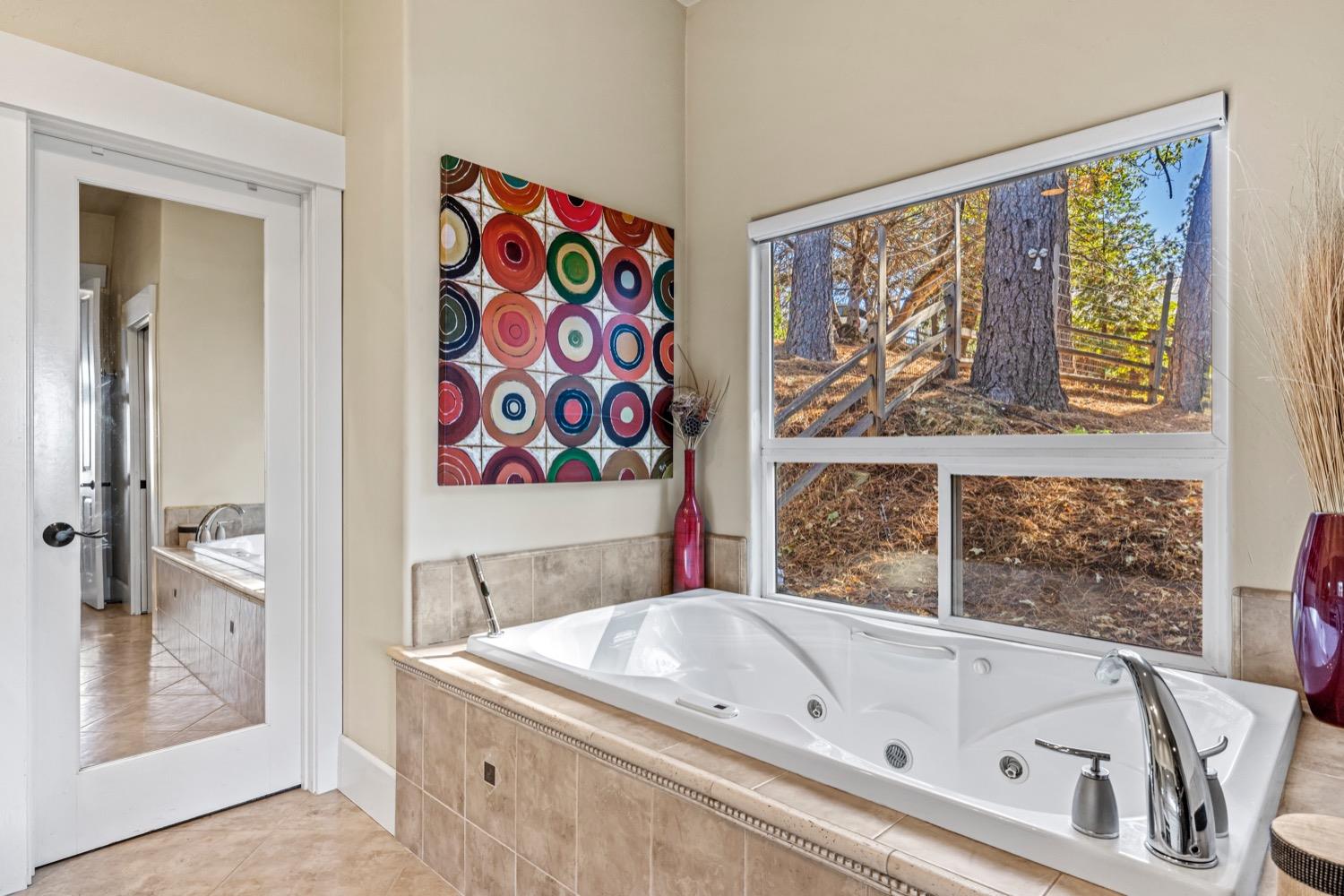 Detail Gallery Image 30 of 67 For 4686 Pinta Ct, Camino,  CA 95709 - 3 Beds | 3/2 Baths