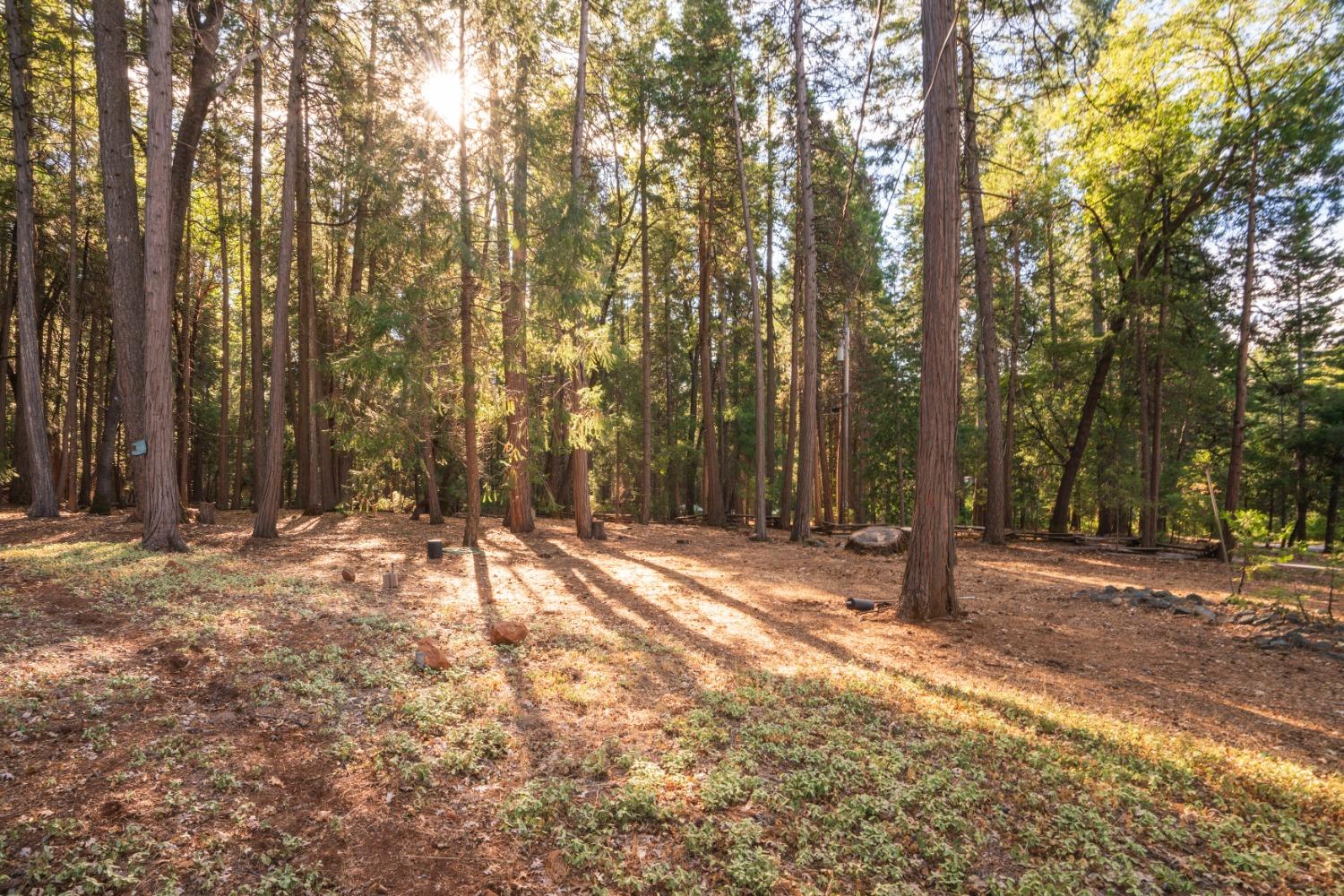 Detail Gallery Image 33 of 51 For 13015 Lee Ln, Nevada City,  CA 95959 - 2 Beds | 2 Baths