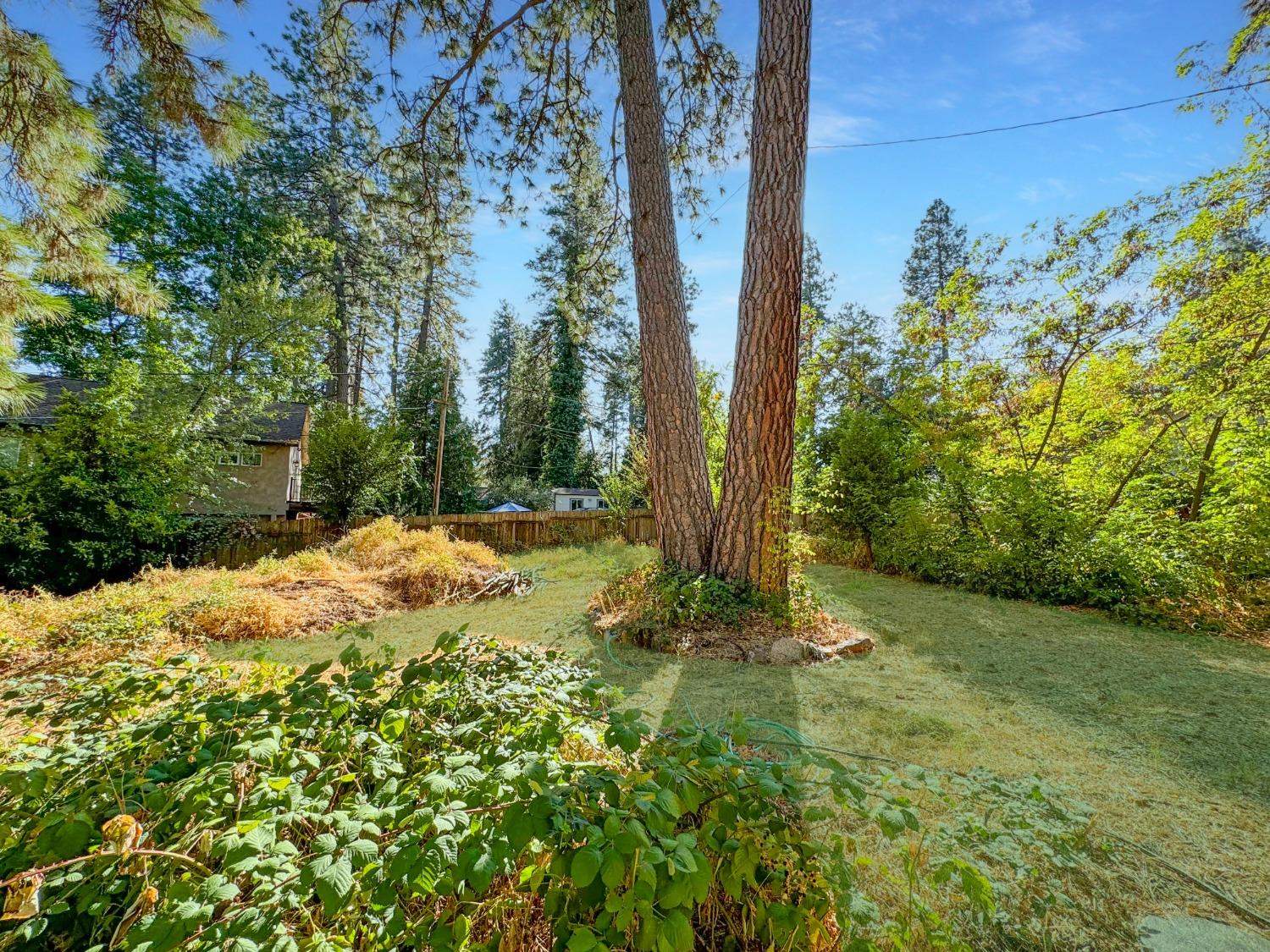 Detail Gallery Image 4 of 14 For 10584 Cedar Ave, Grass Valley,  CA 95945 - 2 Beds | 1 Baths