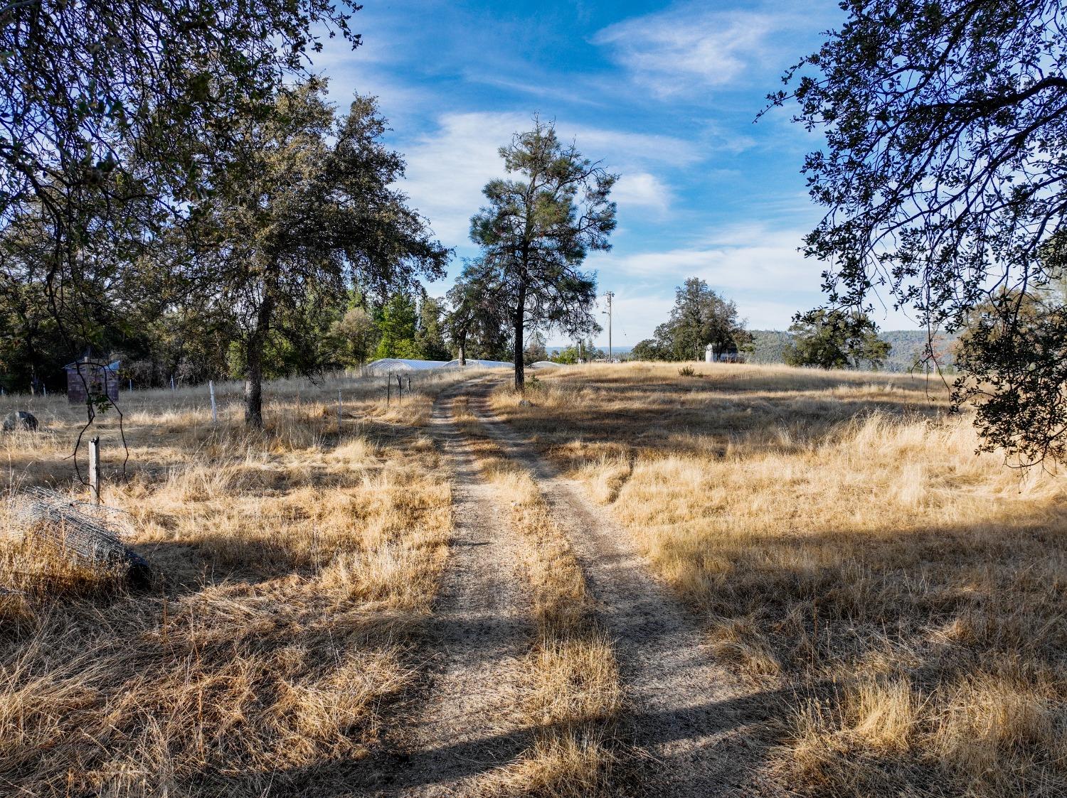 Detail Gallery Image 10 of 45 For 10523 Tasha Rd, Nevada City,  CA 95959 - – Beds | – Baths