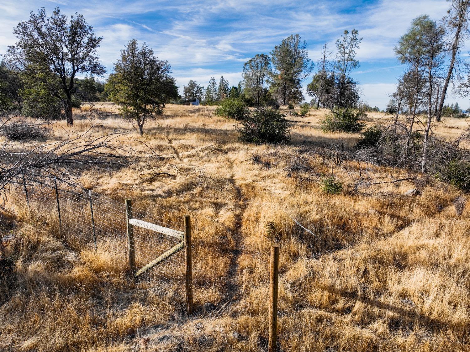 Detail Gallery Image 19 of 45 For 10523 Tasha Rd, Nevada City,  CA 95959 - – Beds | – Baths