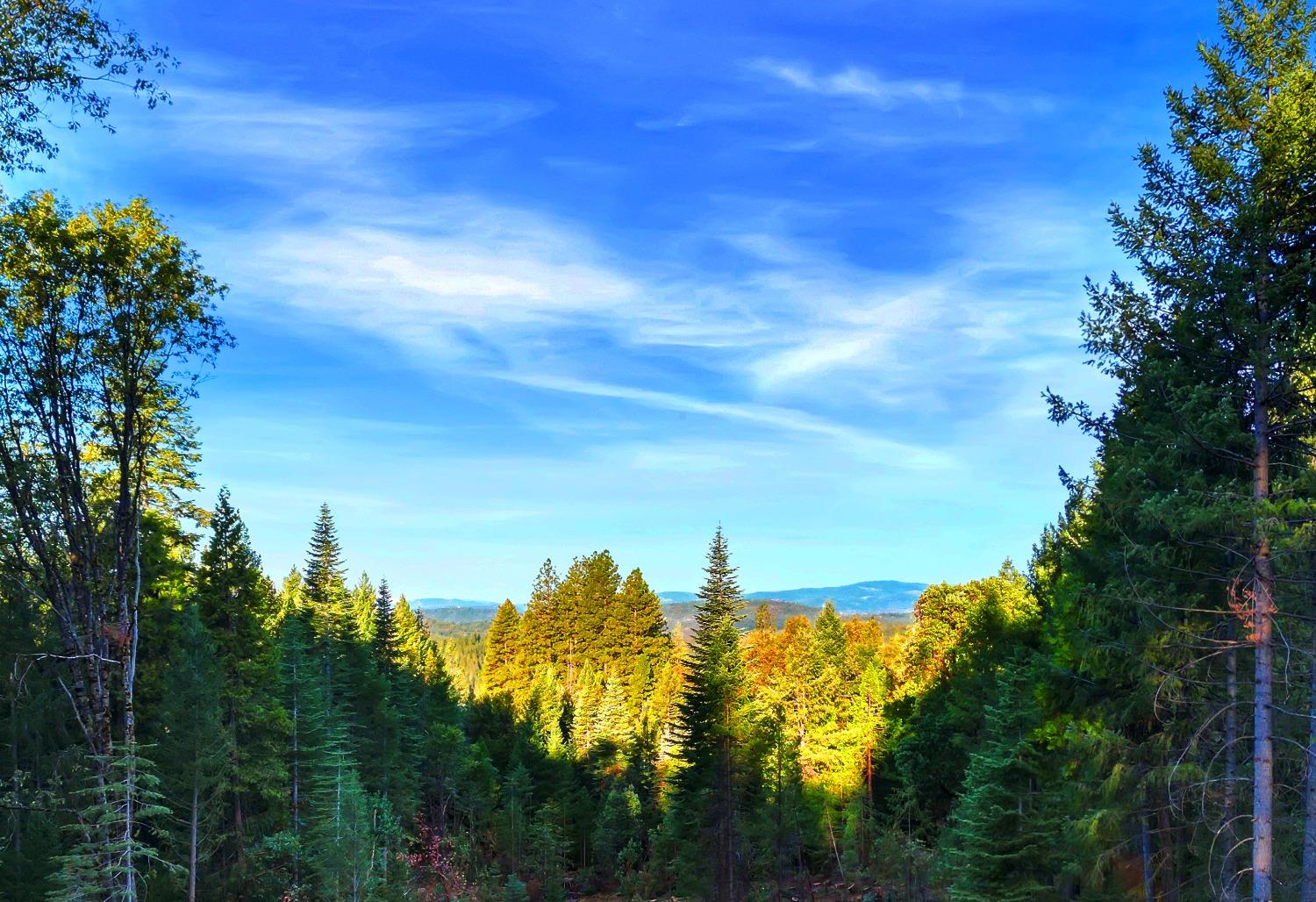 Detail Gallery Image 69 of 99 For 10214 Harmony Ridge Rd, Nevada City,  CA 95959 - 3 Beds | 3 Baths