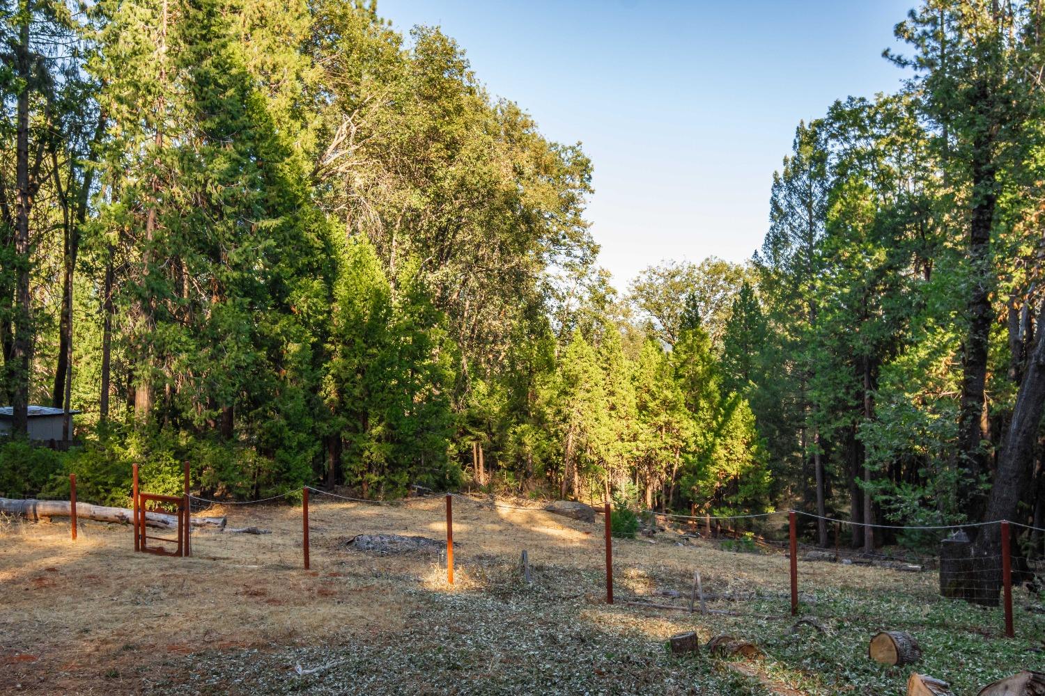 Detail Gallery Image 59 of 67 For 12933 Cedar Crest Ln, Grass Valley,  CA 95945 - 2 Beds | 2 Baths