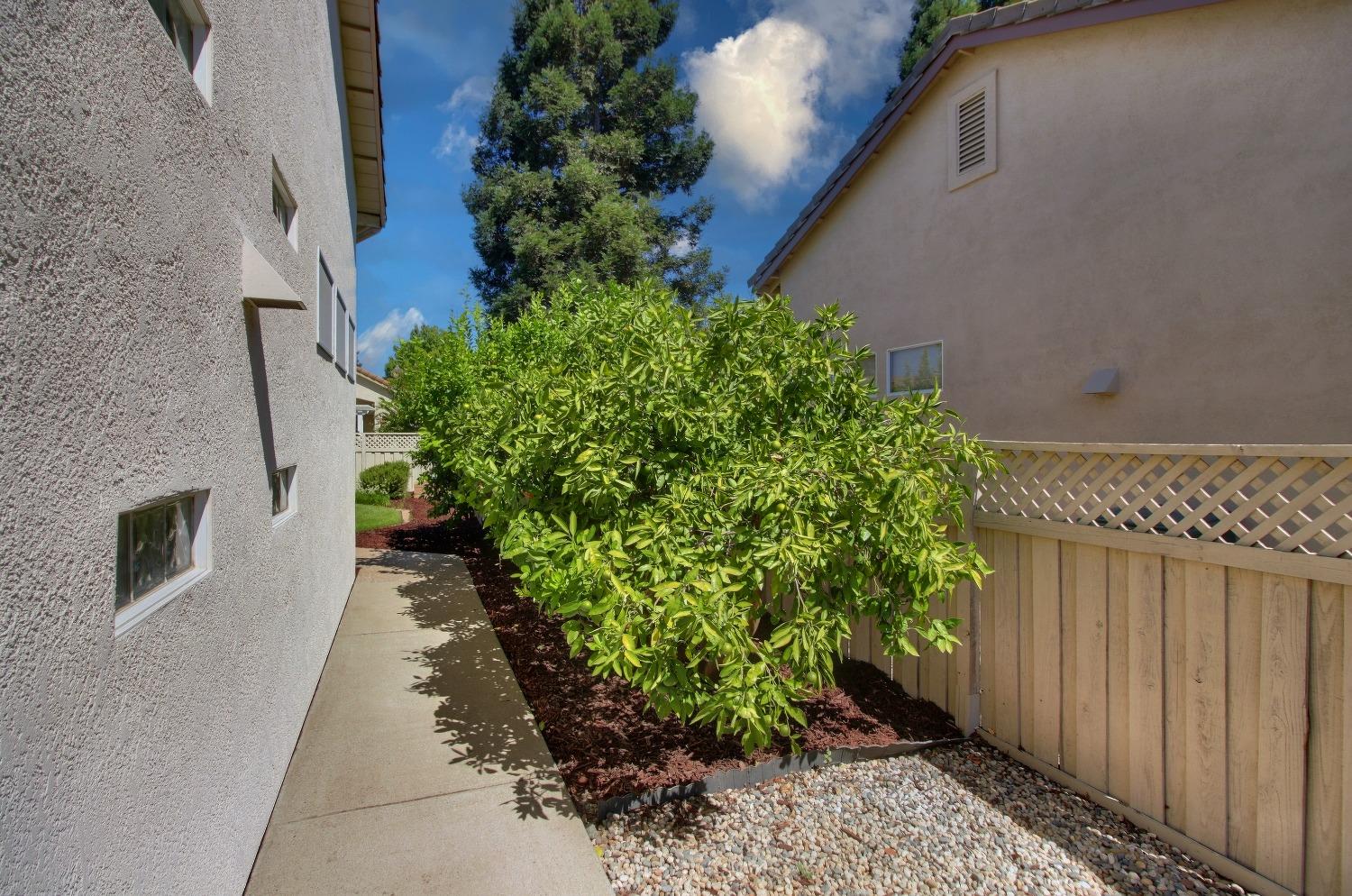 Detail Gallery Image 50 of 56 For 5345 Dreamgarden Loop, Roseville,  CA 95747 - 3 Beds | 2 Baths