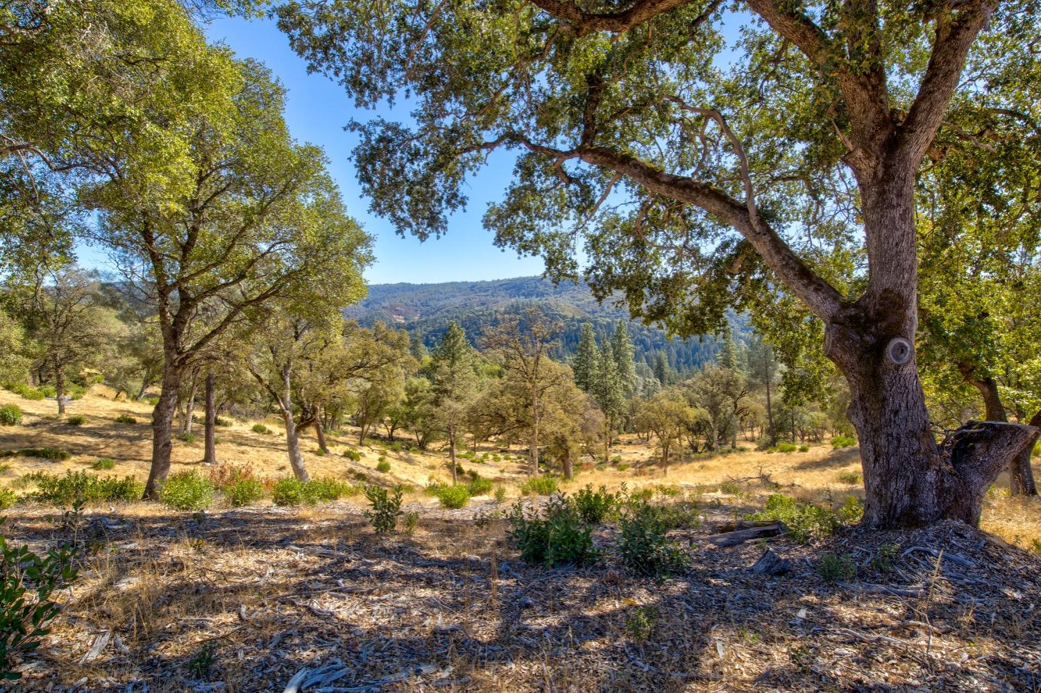 Detail Gallery Image 78 of 98 For 19277 Cedar Pines Dr, Fiddletown,  CA 95629 - 1 Beds | 2/2 Baths