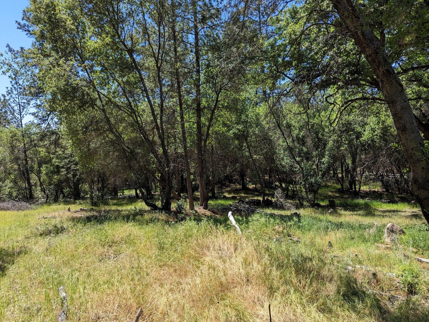 Detail Gallery Image 31 of 60 For 20358 Mccourtney Rd, Grass Valley,  CA 95949 - 6 Beds | 5 Baths