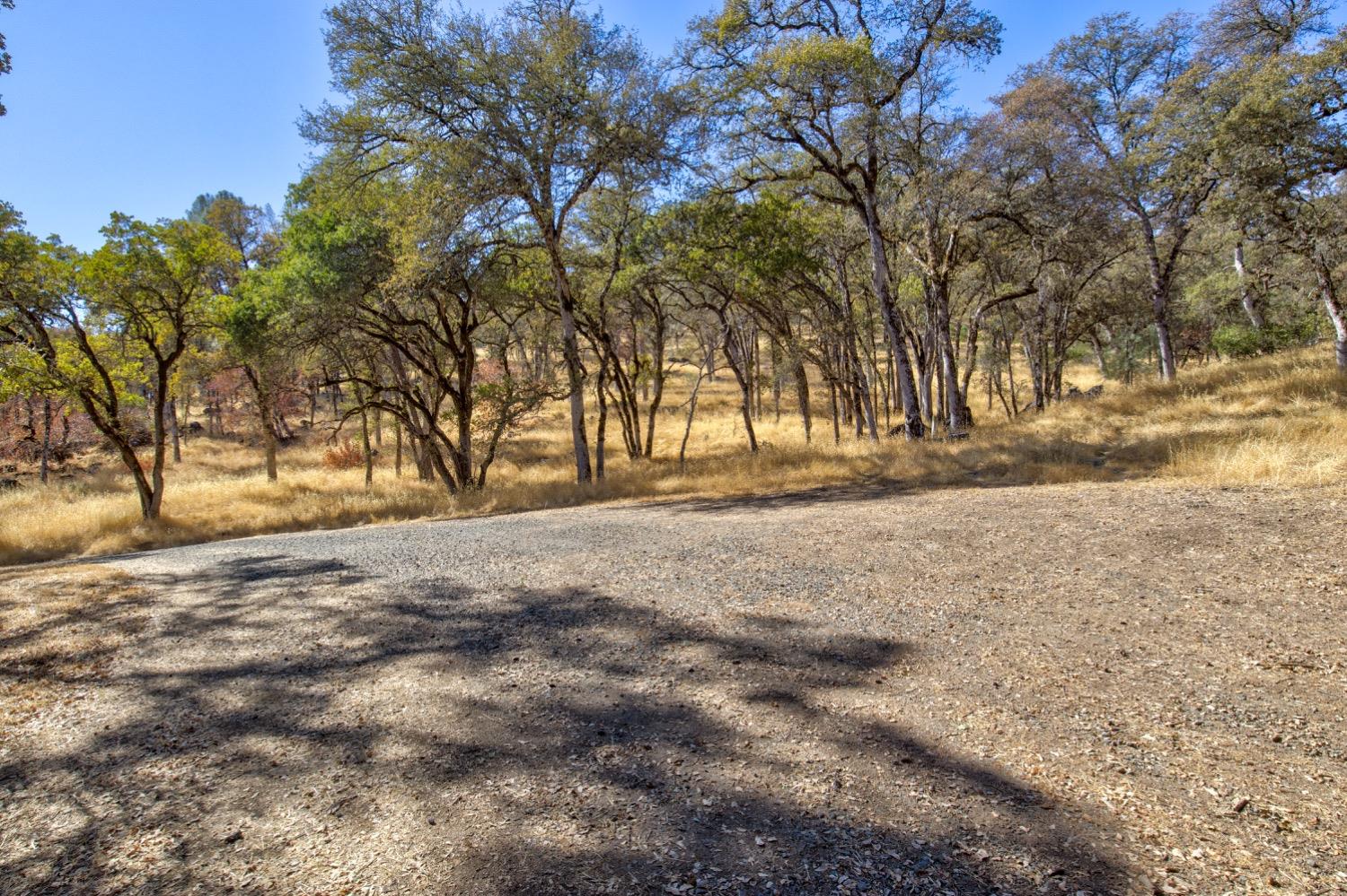 Detail Gallery Image 35 of 98 For 19277 Cedar Pines Dr, Fiddletown,  CA 95629 - 1 Beds | 2/2 Baths