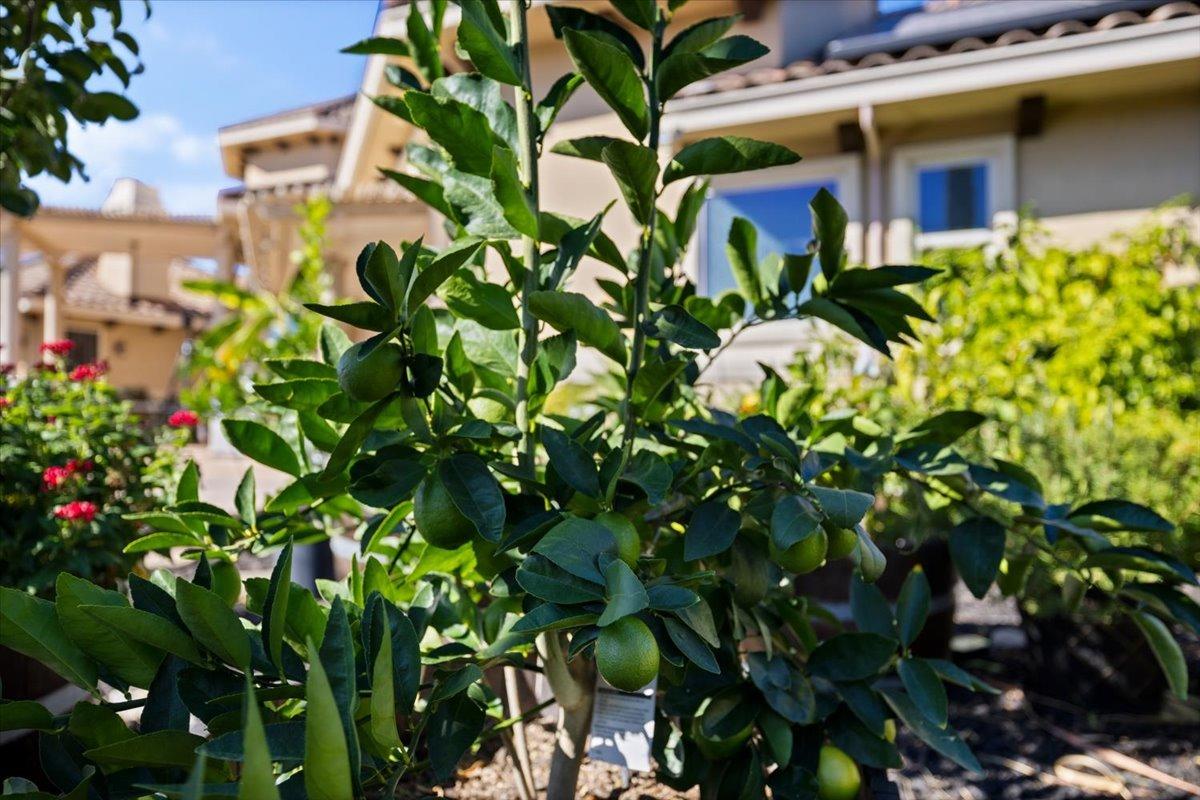 Detail Gallery Image 30 of 65 For 5083 Thalia Dr, El Dorado Hills,  CA 95762 - 4 Beds | 4/1 Baths