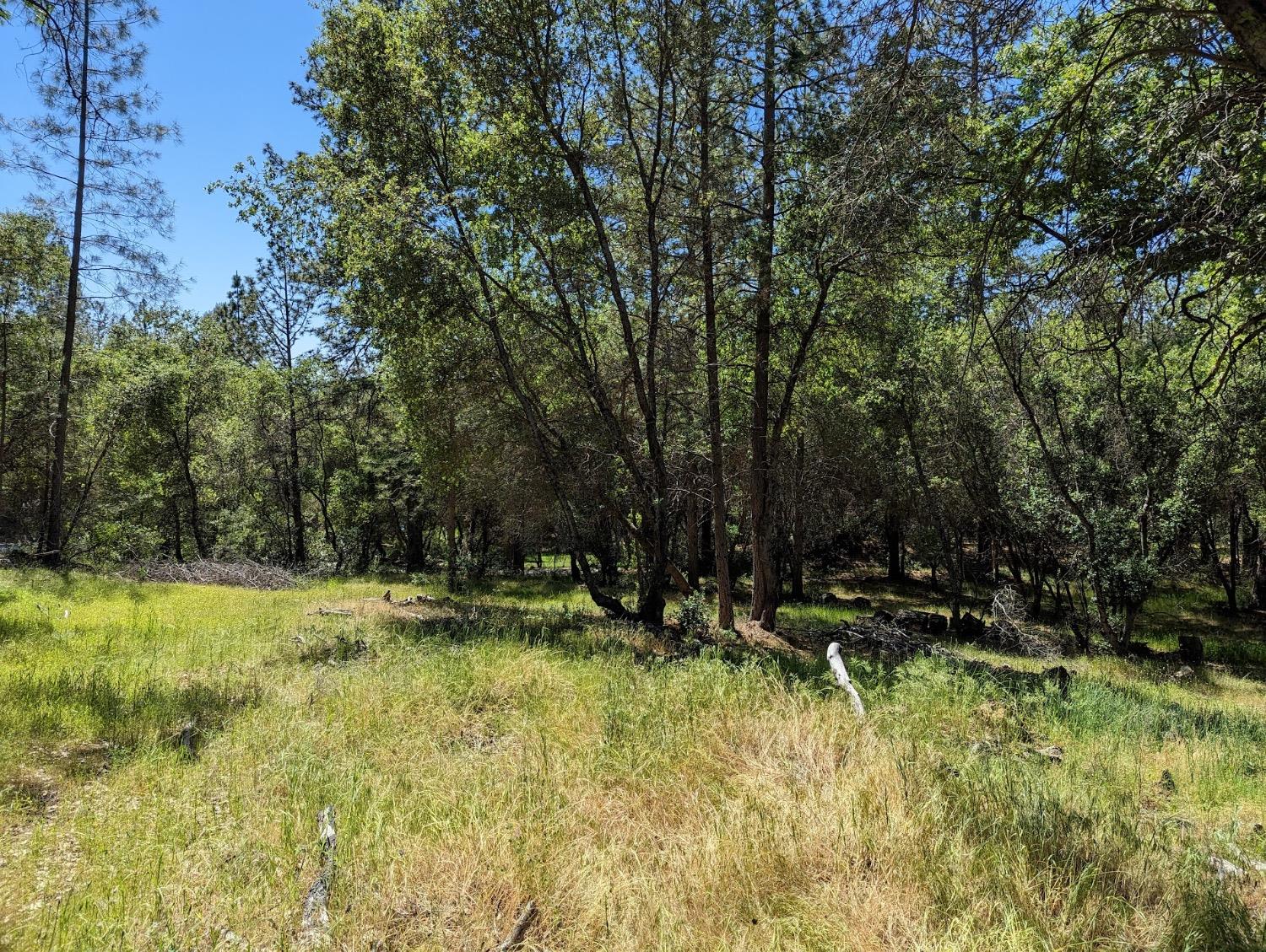 Detail Gallery Image 28 of 60 For 20358 Mccourtney Rd, Grass Valley,  CA 95949 - 6 Beds | 5 Baths