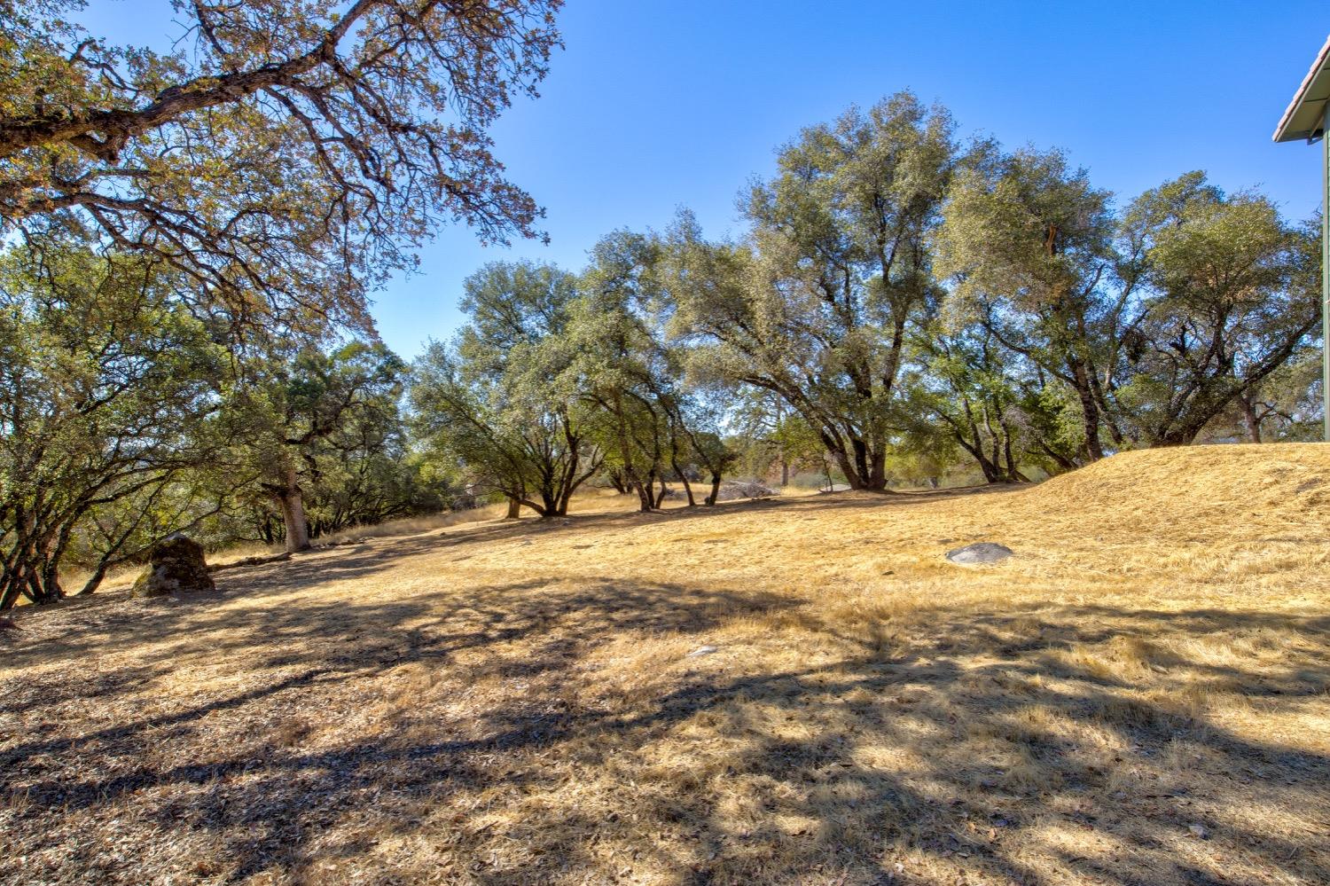 Detail Gallery Image 65 of 98 For 19277 Cedar Pines Dr, Fiddletown,  CA 95629 - 1 Beds | 2/2 Baths