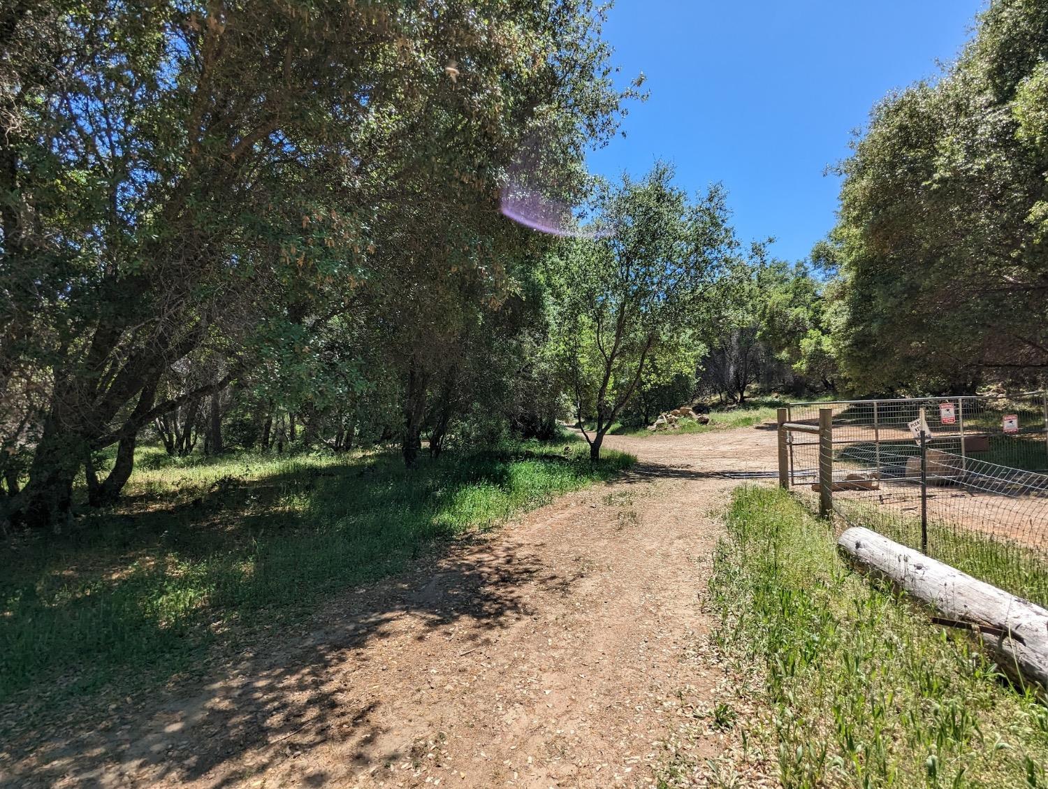 Detail Gallery Image 52 of 60 For 20358 Mccourtney Rd, Grass Valley,  CA 95949 - 6 Beds | 5 Baths