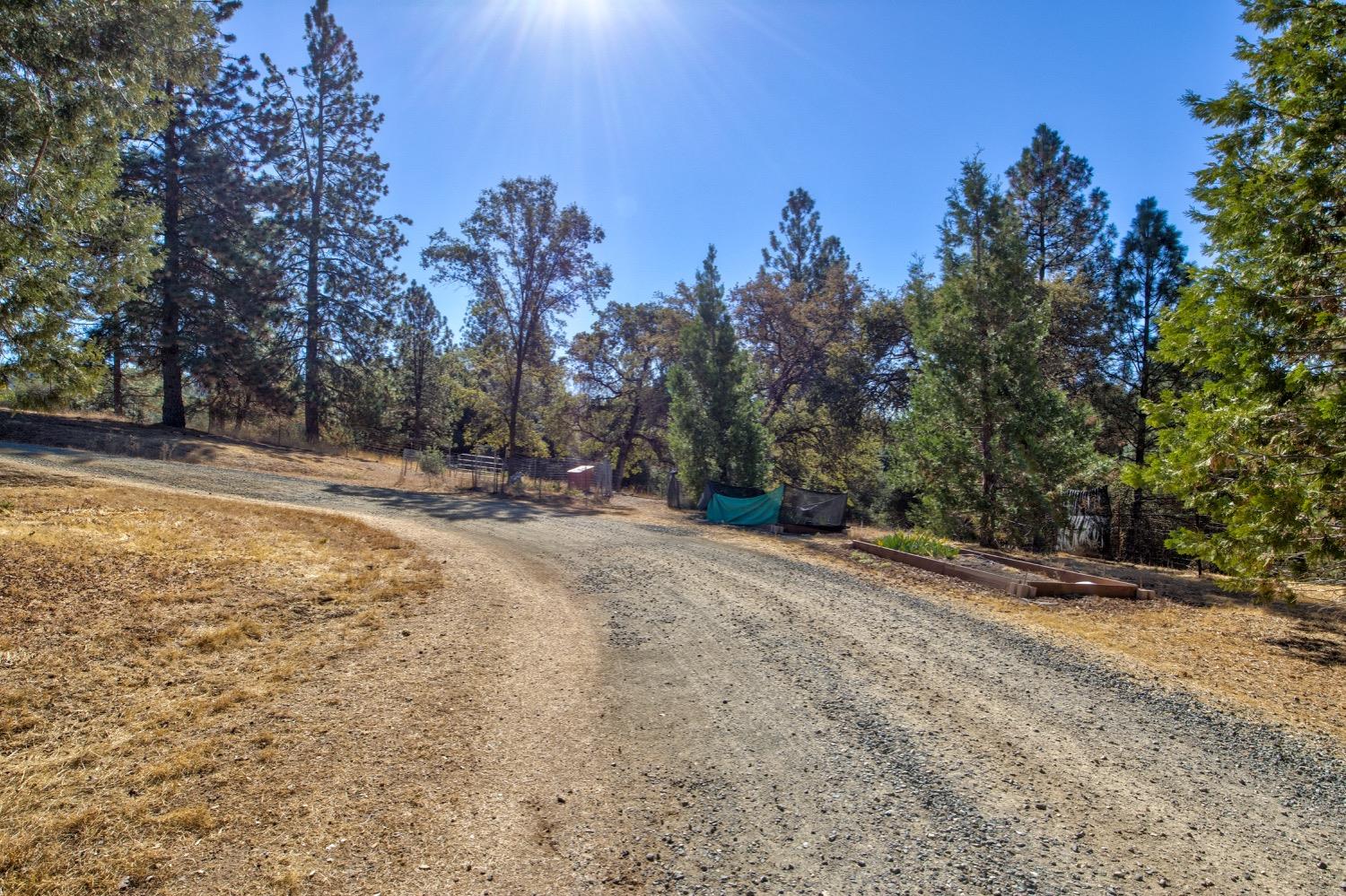 Detail Gallery Image 43 of 98 For 19277 Cedar Pines Dr, Fiddletown,  CA 95629 - 1 Beds | 2/2 Baths