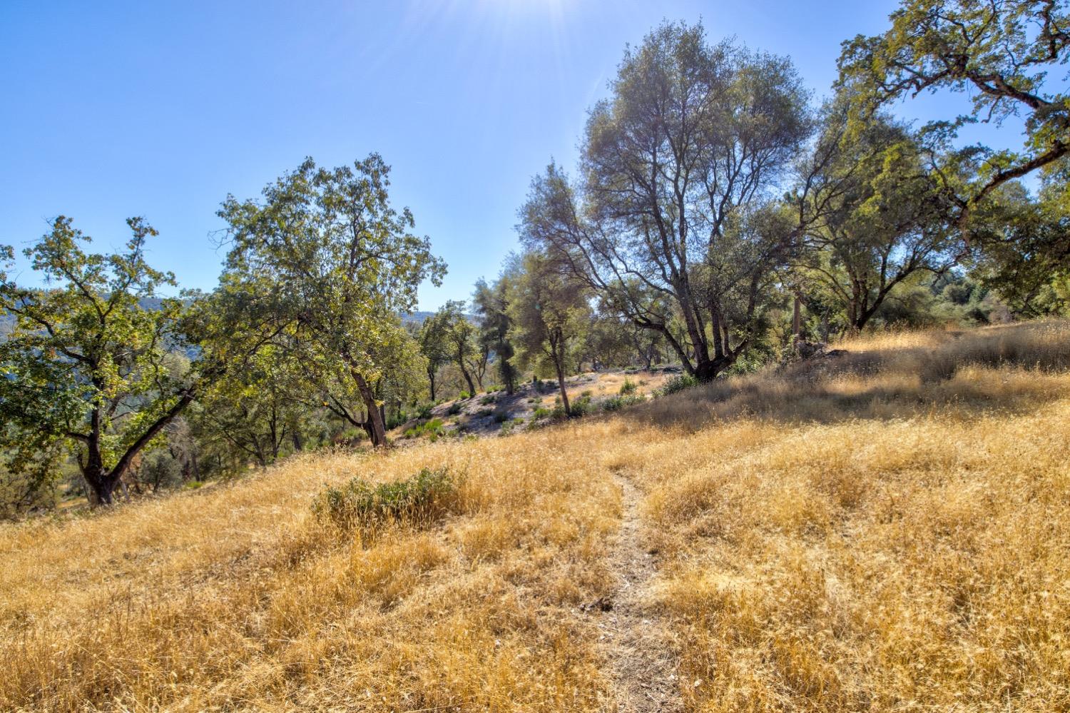 Detail Gallery Image 77 of 98 For 19277 Cedar Pines Dr, Fiddletown,  CA 95629 - 1 Beds | 2/2 Baths