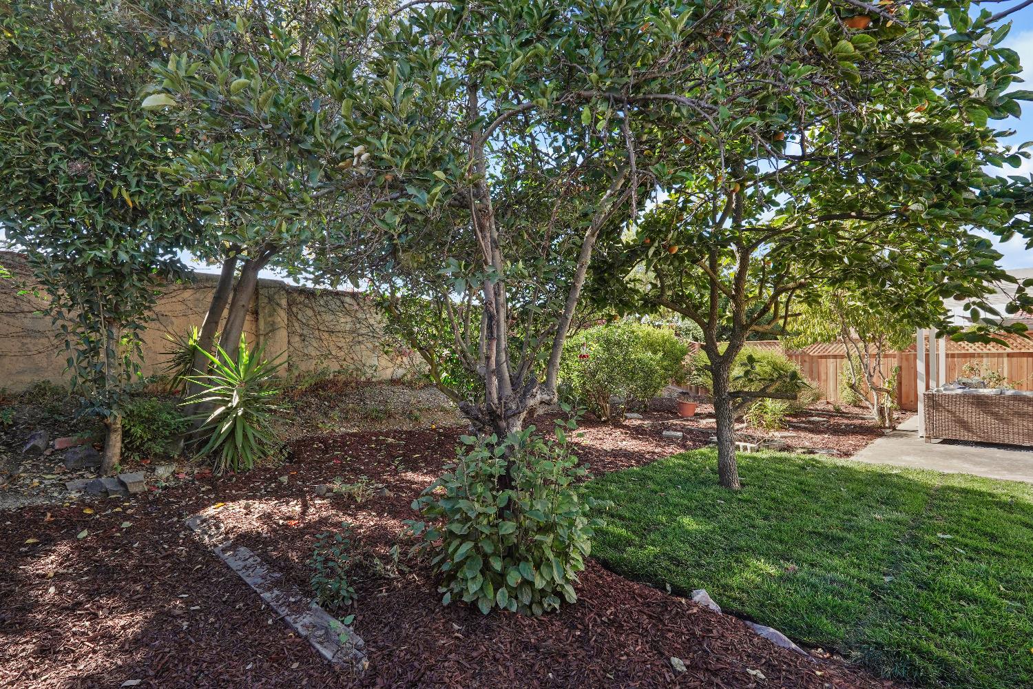 Detail Gallery Image 41 of 45 For 33050 Calistoga St, Union City,  CA 94587 - 4 Beds | 3/1 Baths