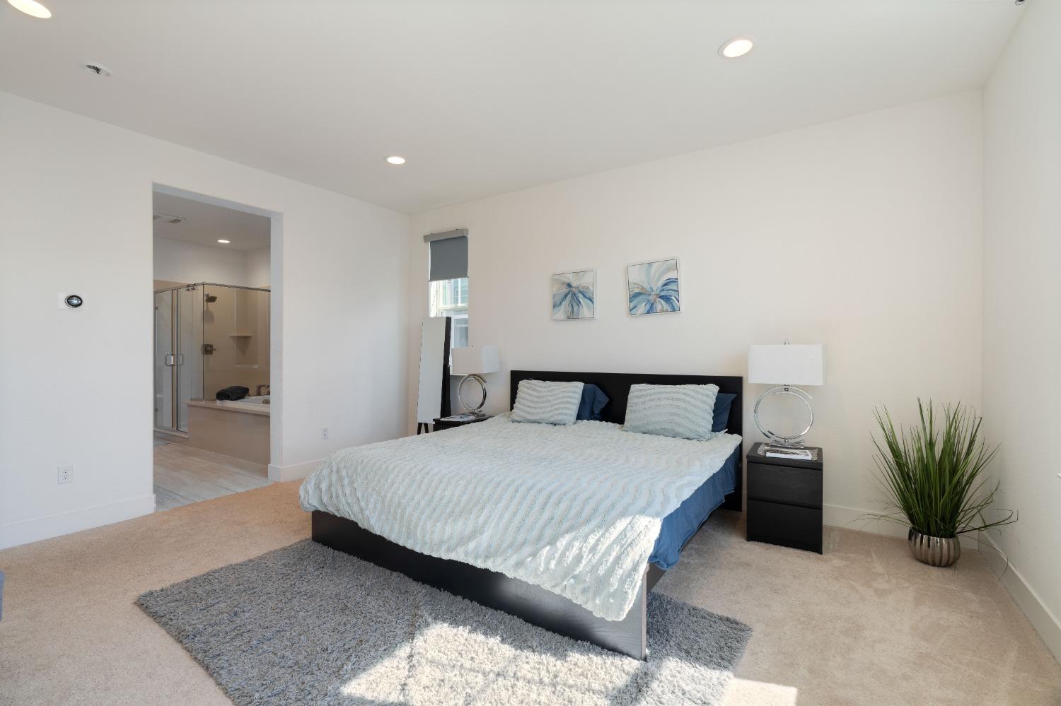 Detail Gallery Image 33 of 49 For 2100 Carbondale Cir, Dublin,  CA 94568 - 3 Beds | 3/1 Baths