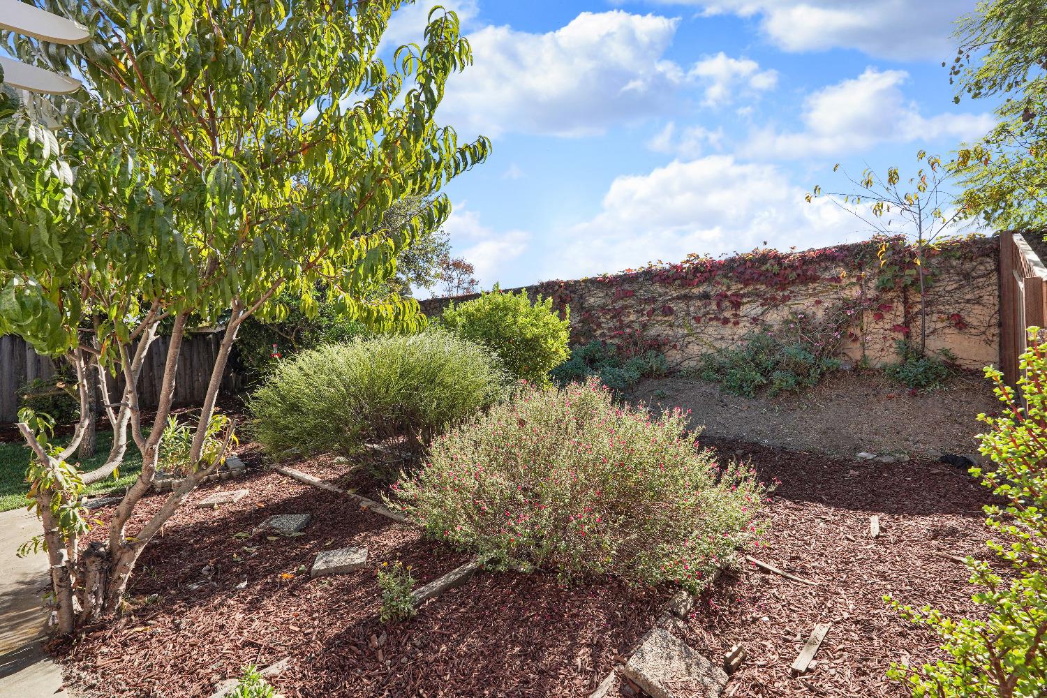 Detail Gallery Image 44 of 45 For 33050 Calistoga St, Union City,  CA 94587 - 4 Beds | 3/1 Baths