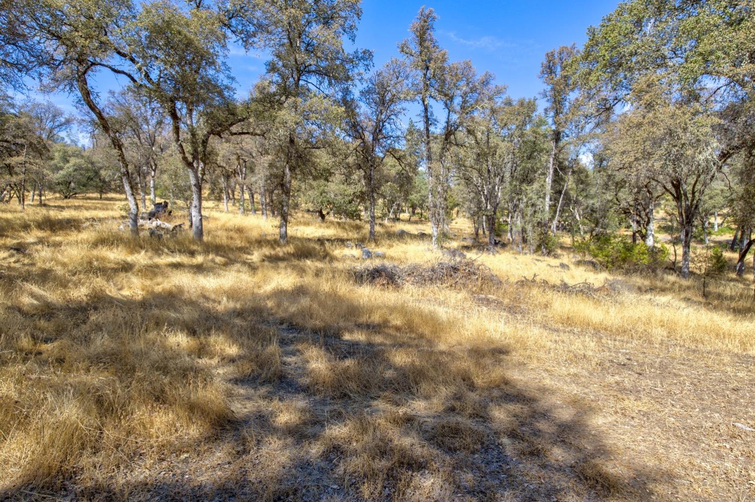 Detail Gallery Image 36 of 98 For 19277 Cedar Pines Dr, Fiddletown,  CA 95629 - 1 Beds | 2/2 Baths