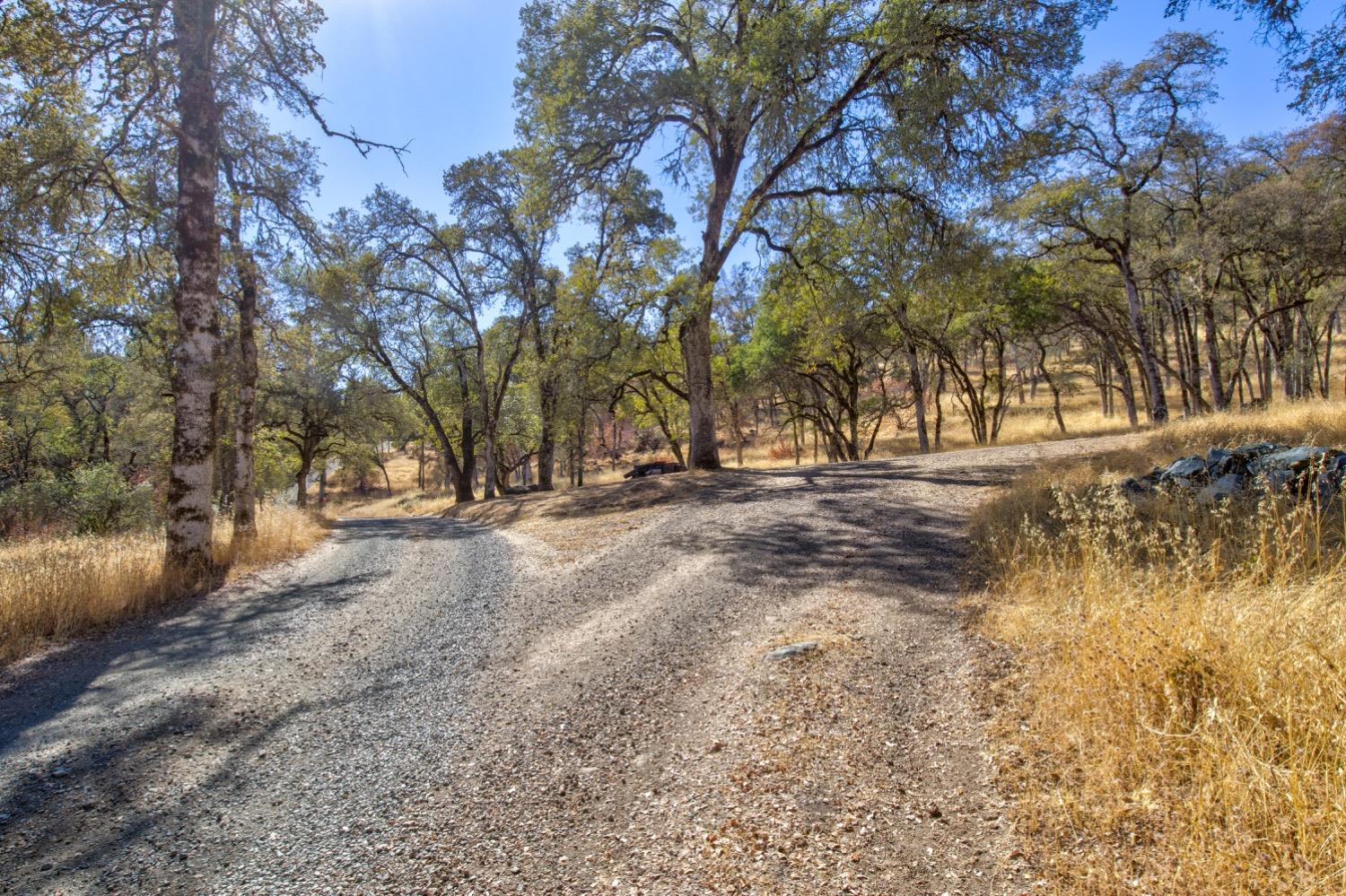 Detail Gallery Image 34 of 98 For 19277 Cedar Pines Dr, Fiddletown,  CA 95629 - 1 Beds | 2/2 Baths